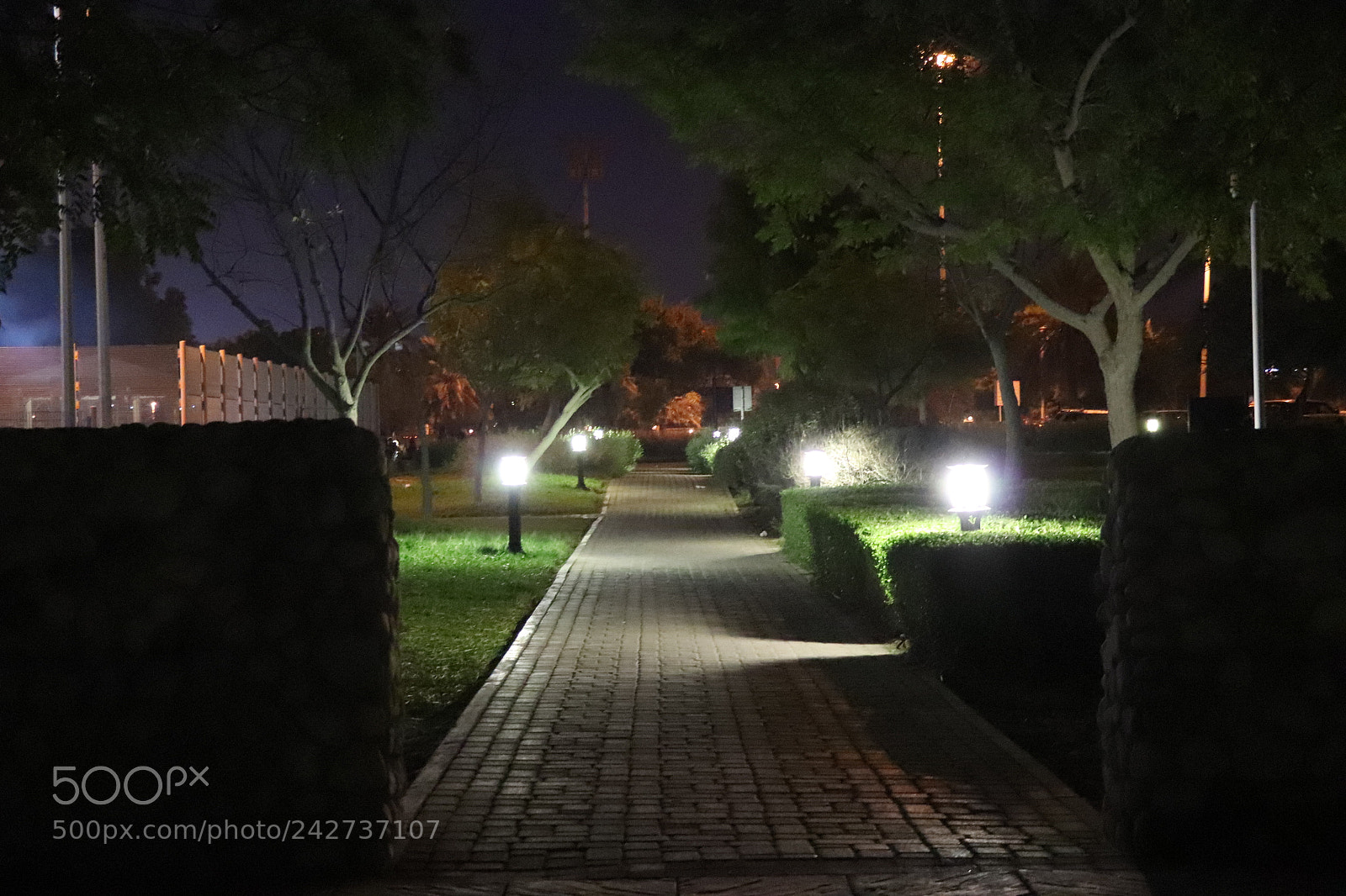 Canon EOS 77D (EOS 9000D / EOS 770D) sample photo. Untitled photography