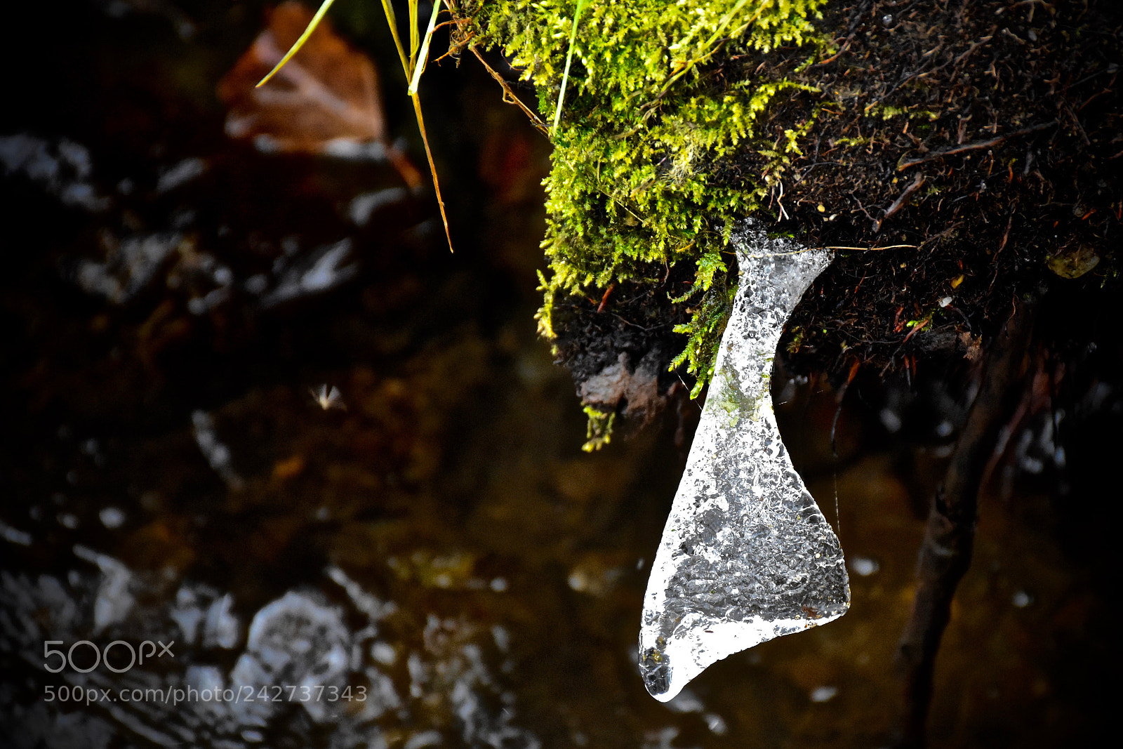 Nikon D7200 sample photo. Ice photography