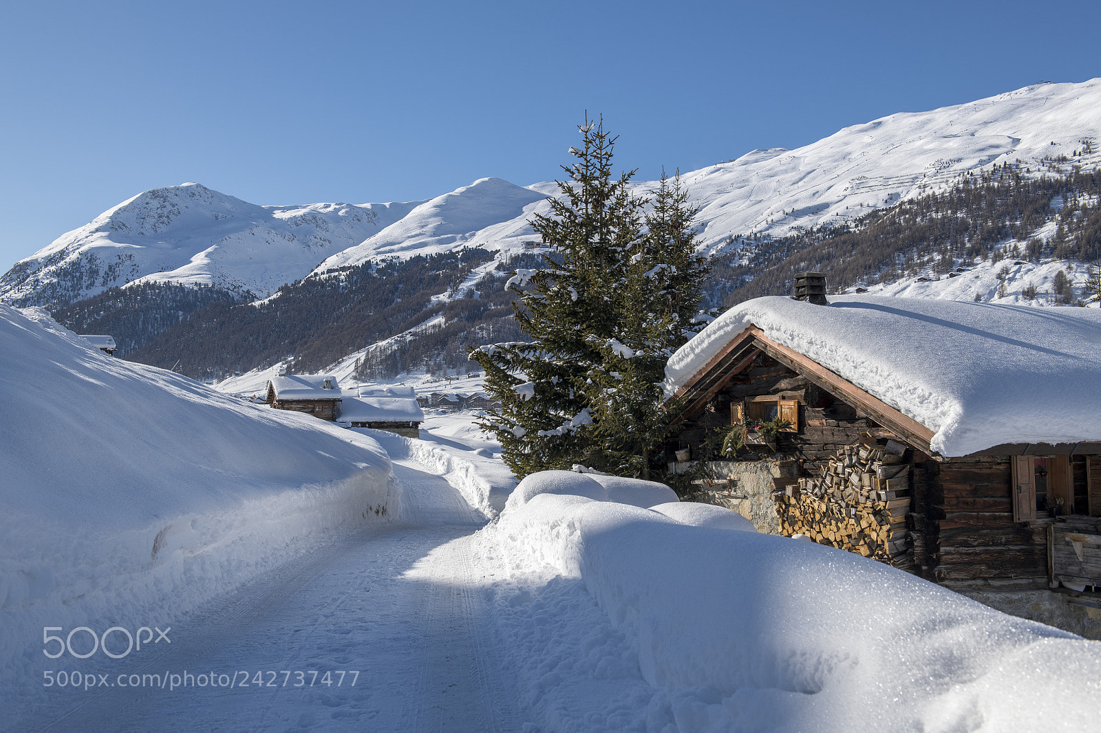 Nikon D850 sample photo. The snow is home... photography