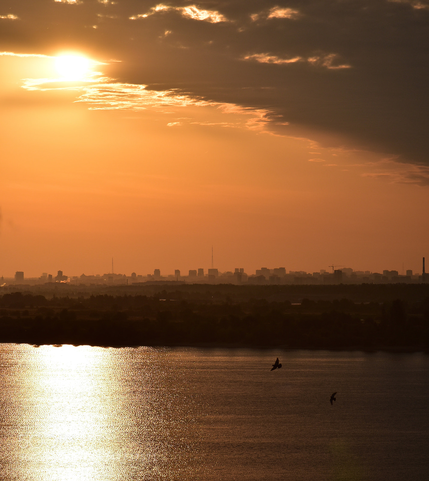 Nikon D5500 sample photo. *** photography