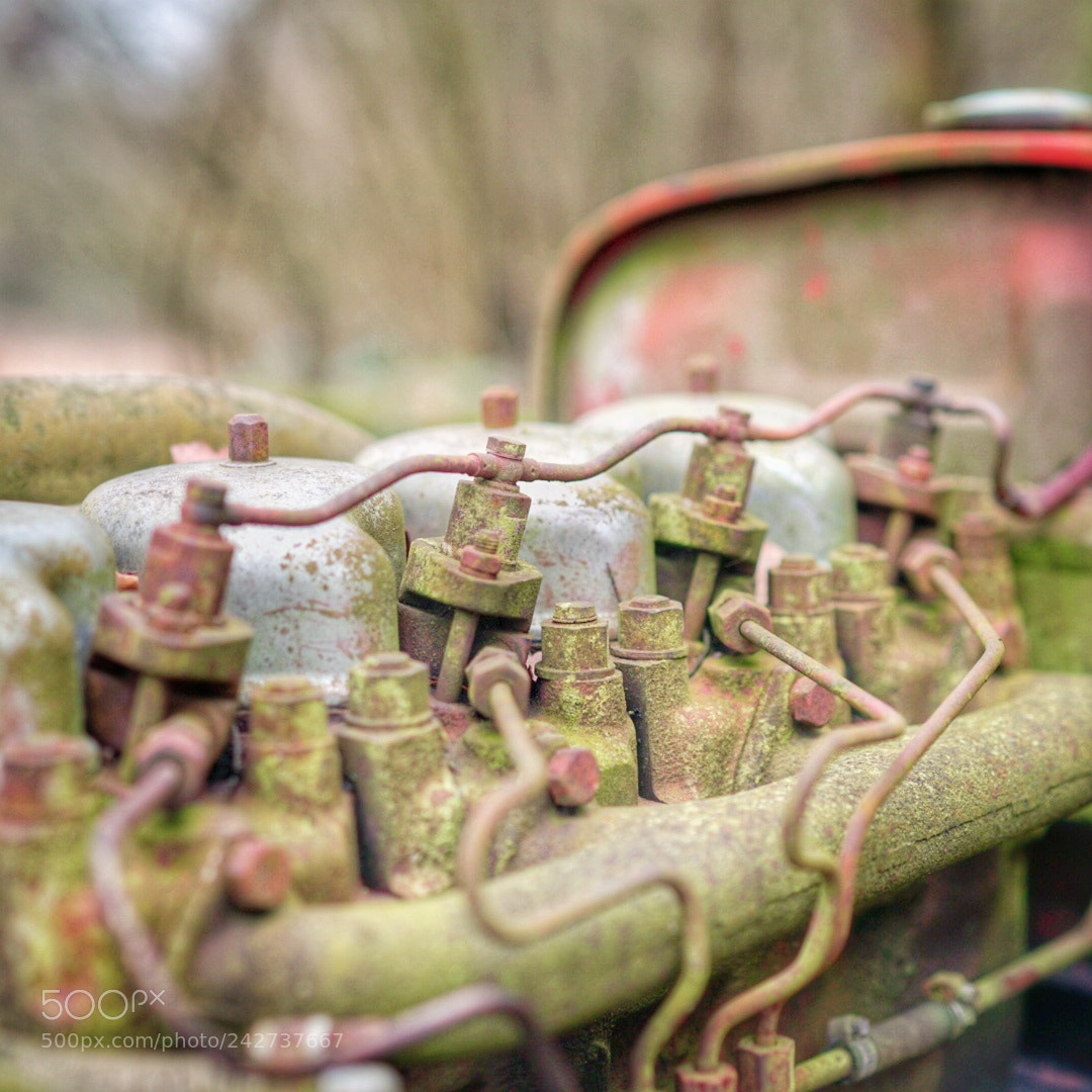 Sony a7 II sample photo. Moteur photography