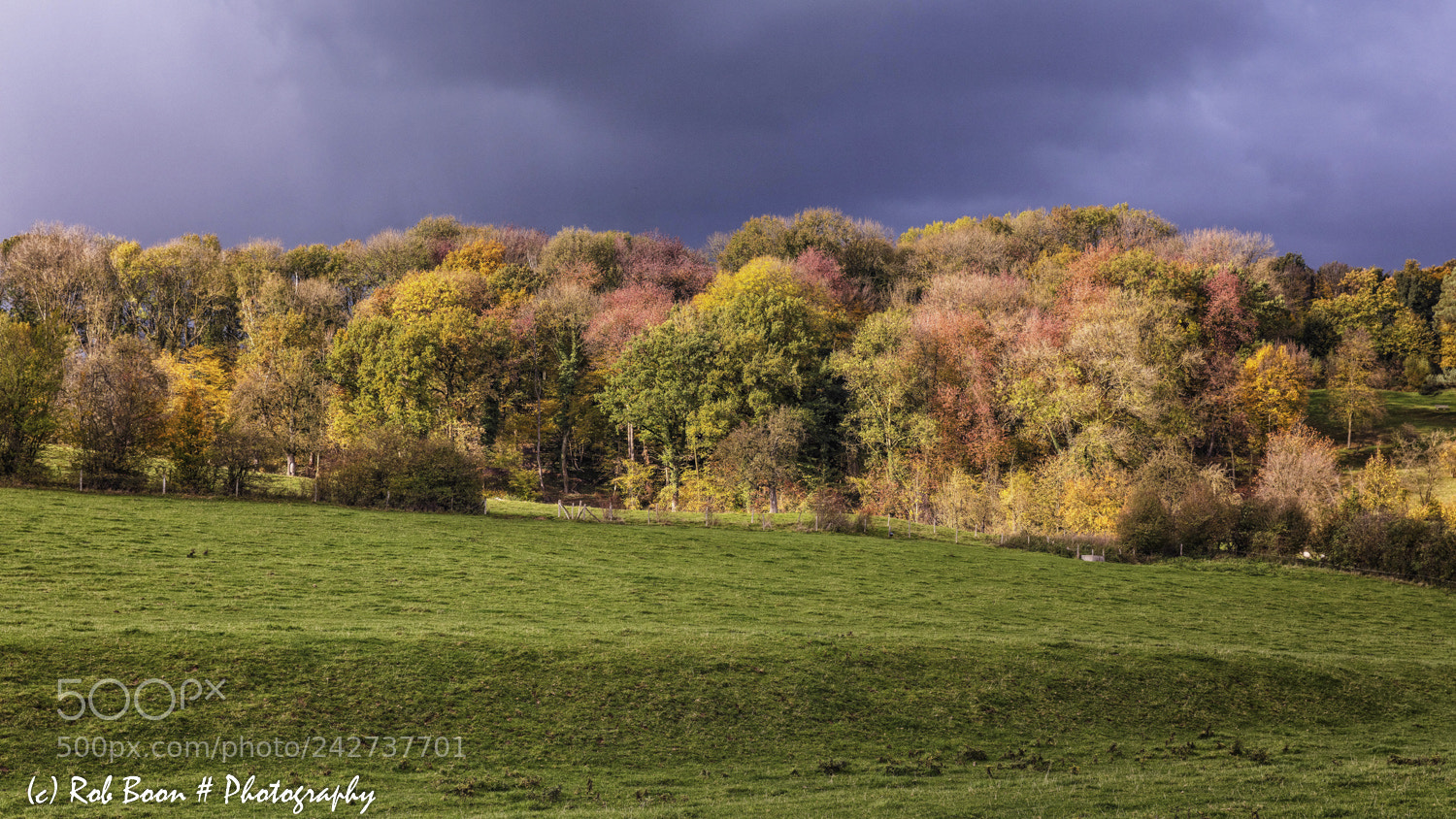 Canon EOS 5DS sample photo. Autumn colours @ gerendal 3 photography