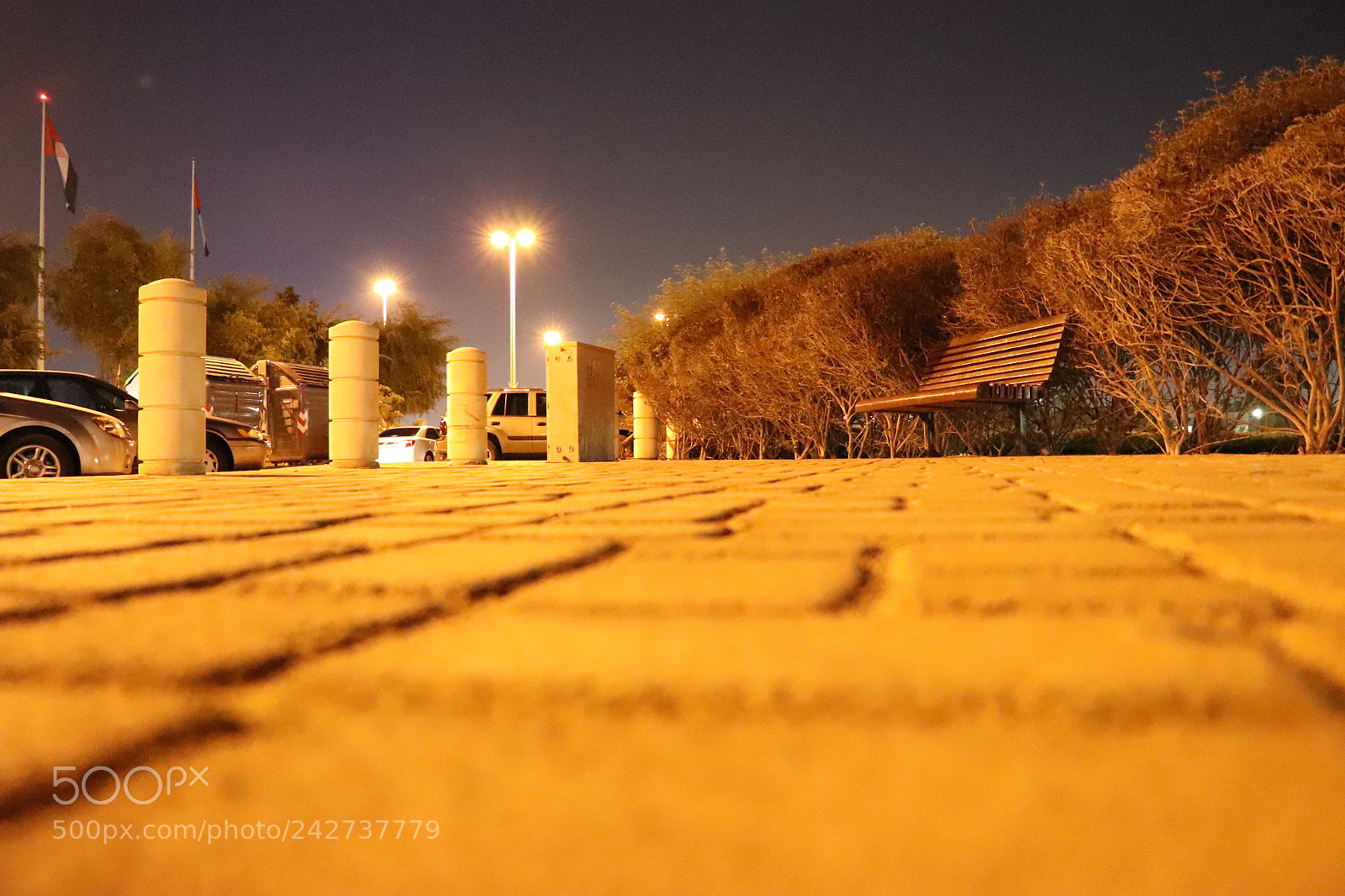 Canon EOS 77D (EOS 9000D / EOS 770D) sample photo. Untitled photography