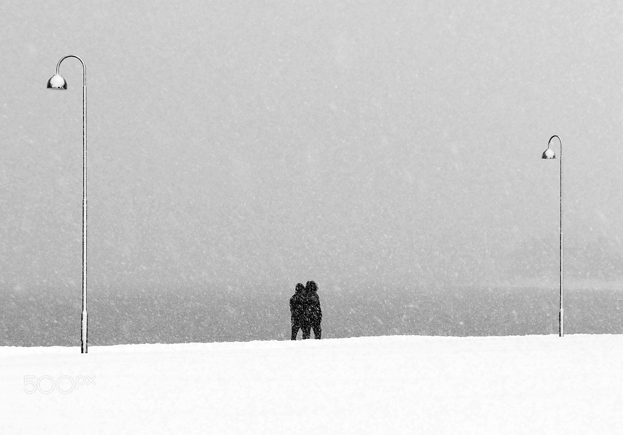 Leica D-Lux (Typ 109) sample photo. On snowy day in photography