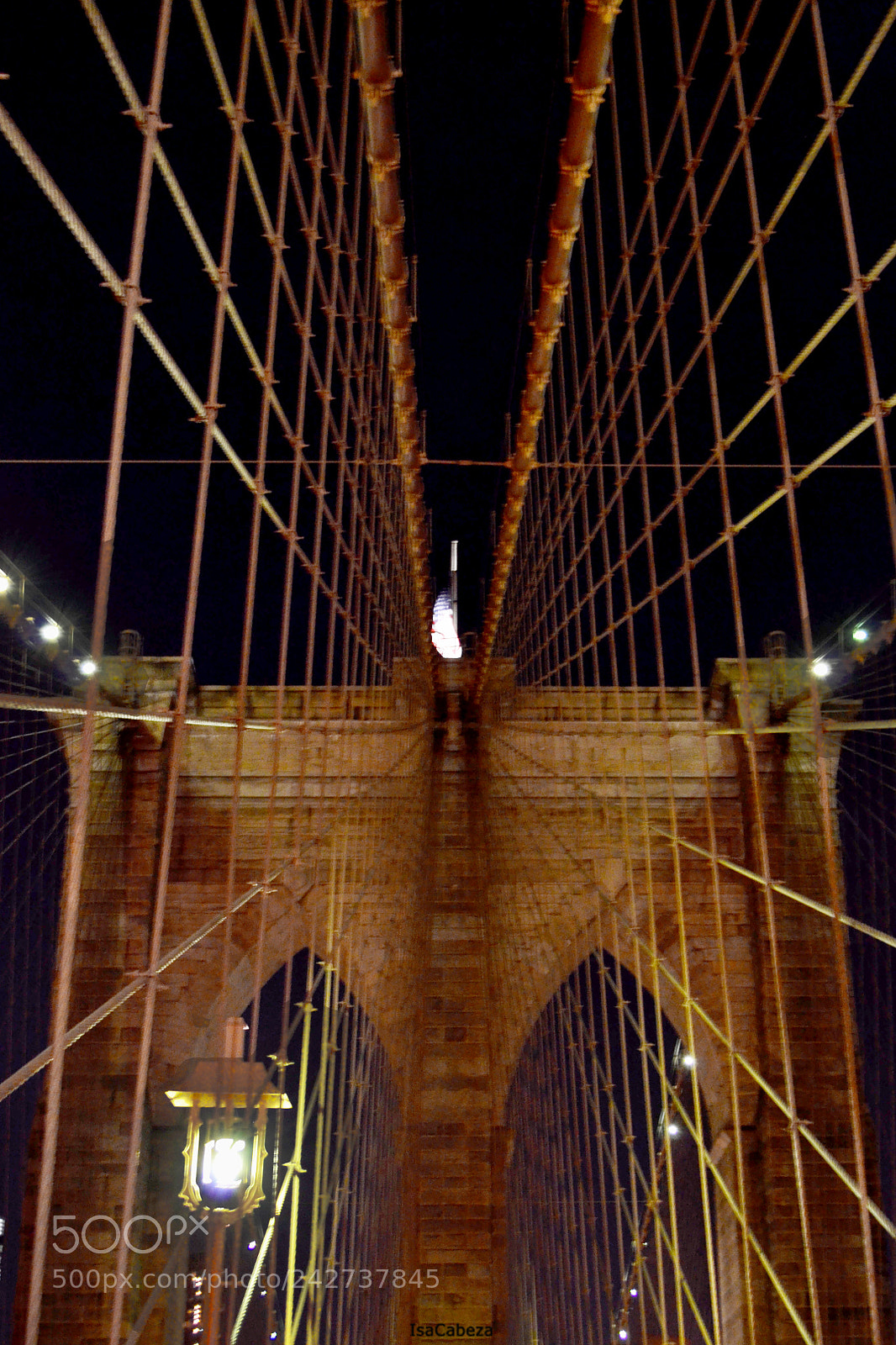Nikon D3100 sample photo. Bridge photography