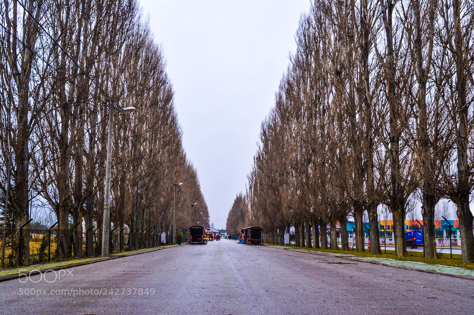 Nikon D3100 sample photo. Untitled photography