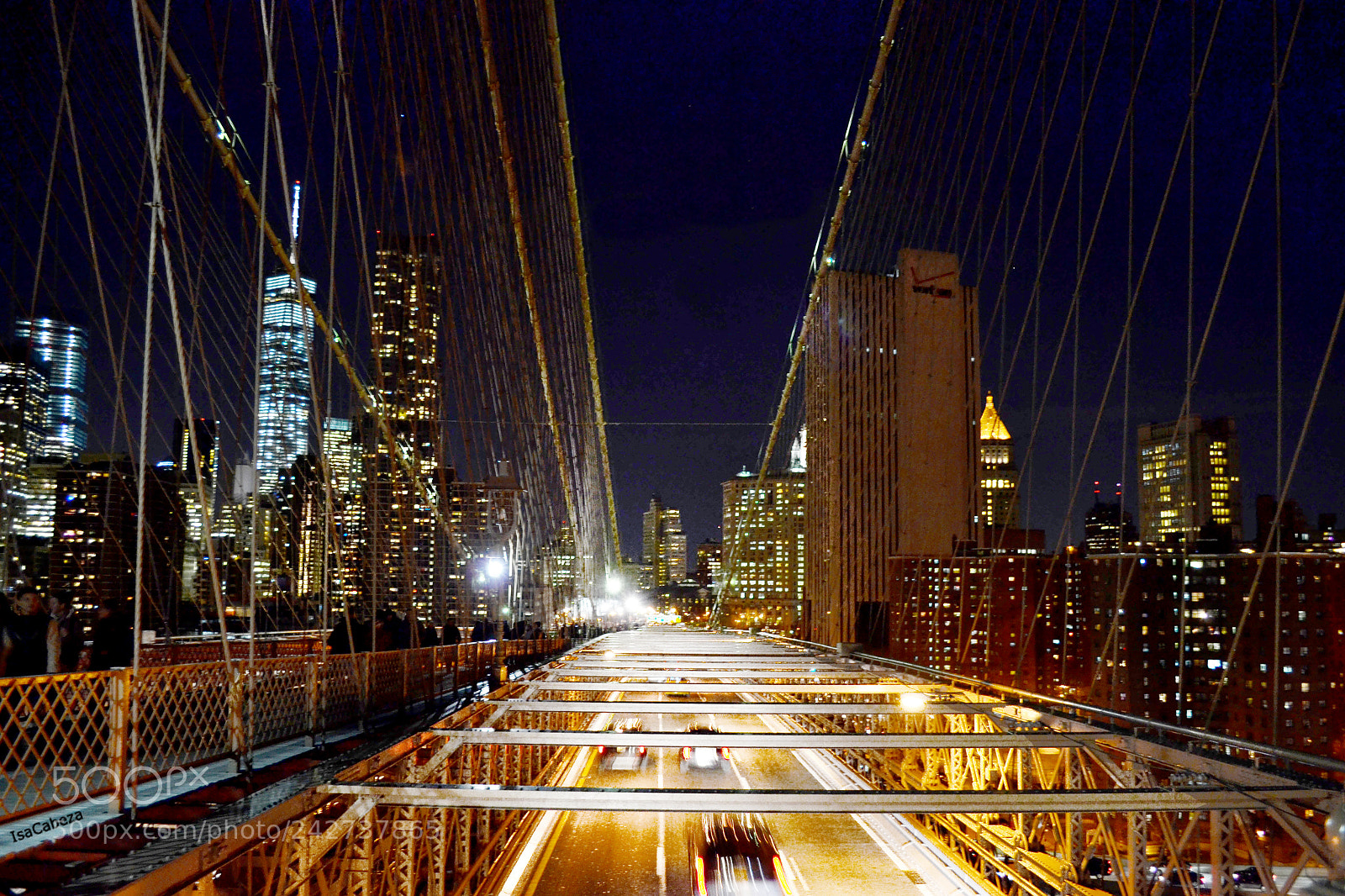 Nikon D3100 sample photo. Bridge photography