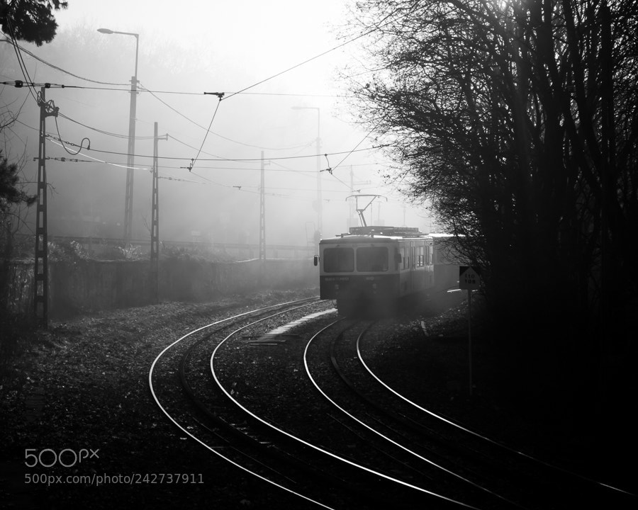 Nikon D3200 sample photo. Train in the fog photography