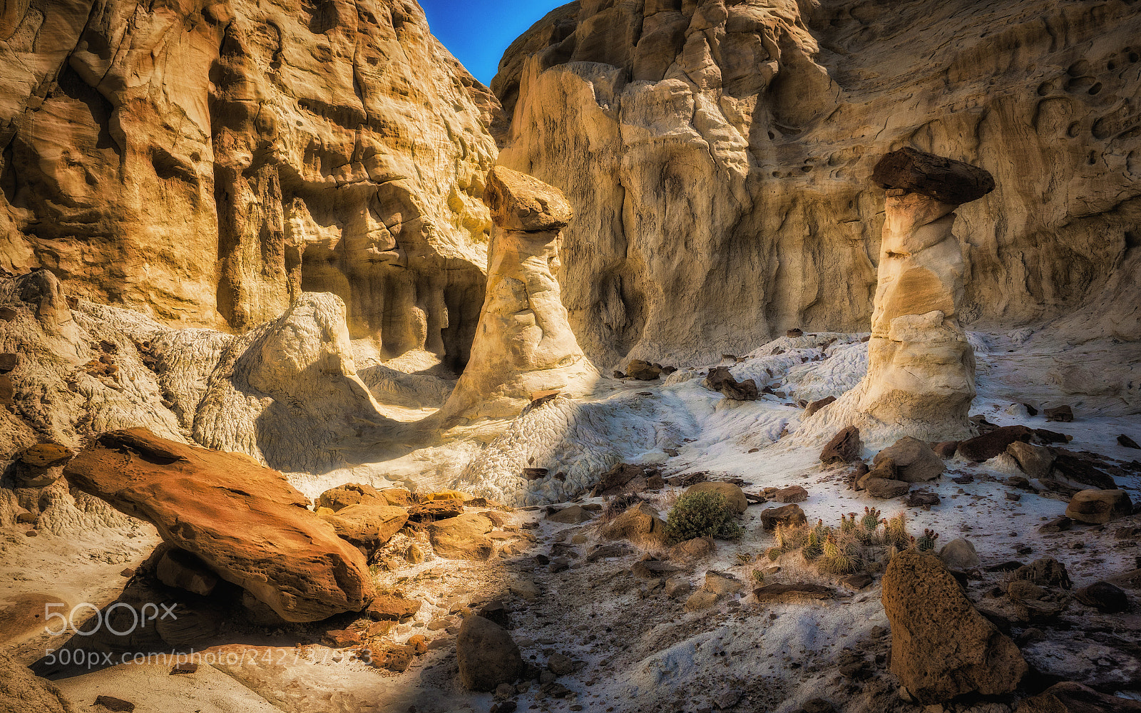 Olympus OM-D E-M1 Mark II sample photo. Toadstool hoodoos photography