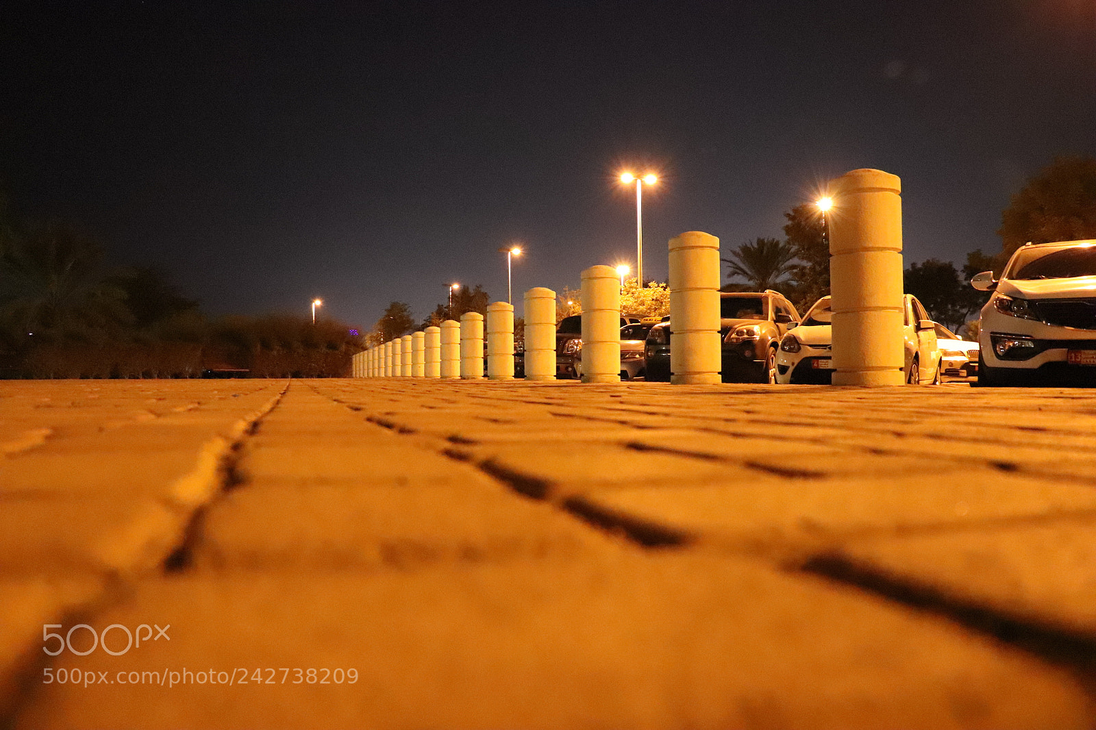 Canon EOS 77D (EOS 9000D / EOS 770D) sample photo. Untitled photography