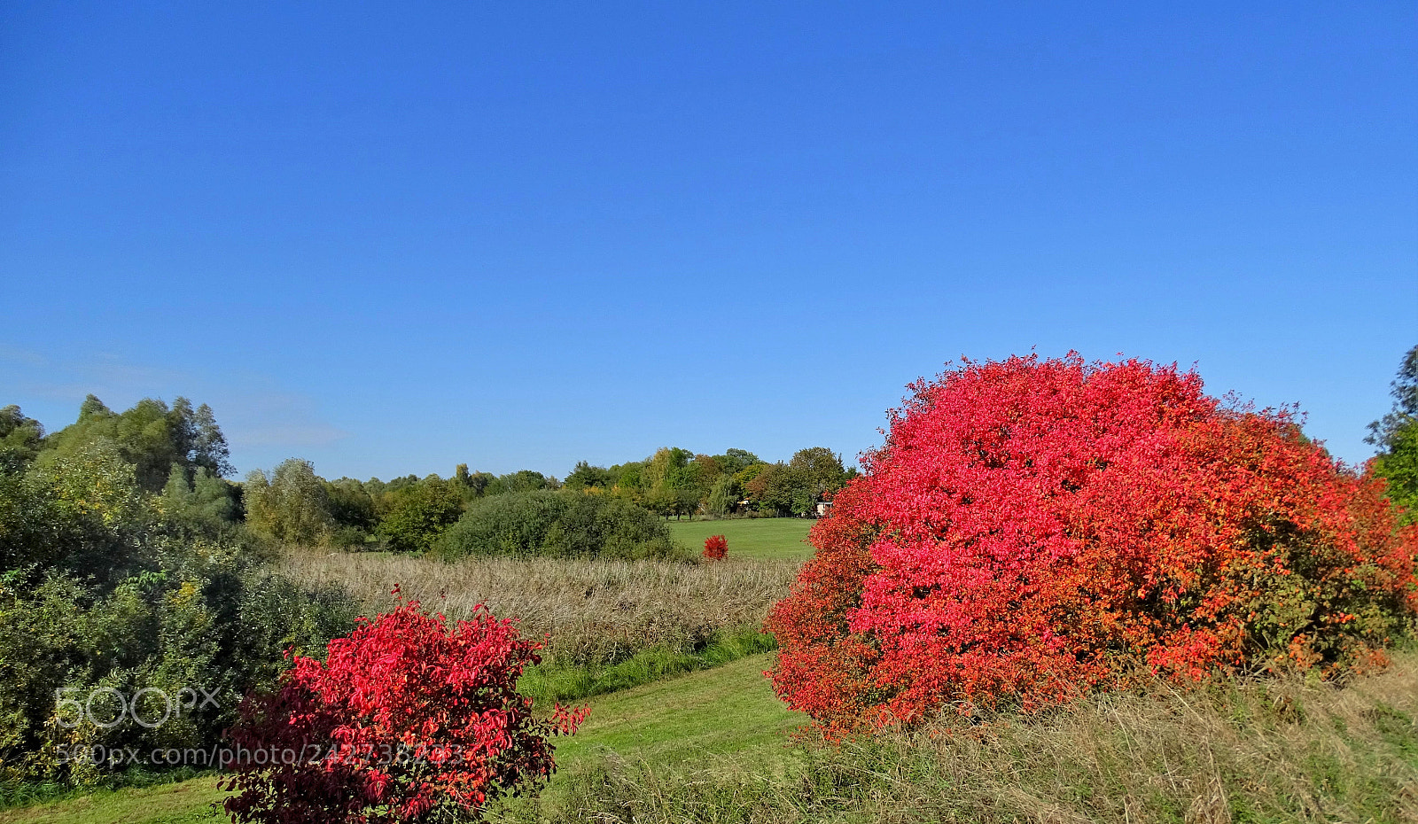 Sony Cyber-shot DSC-HX400V sample photo. Autumn in farmland photography