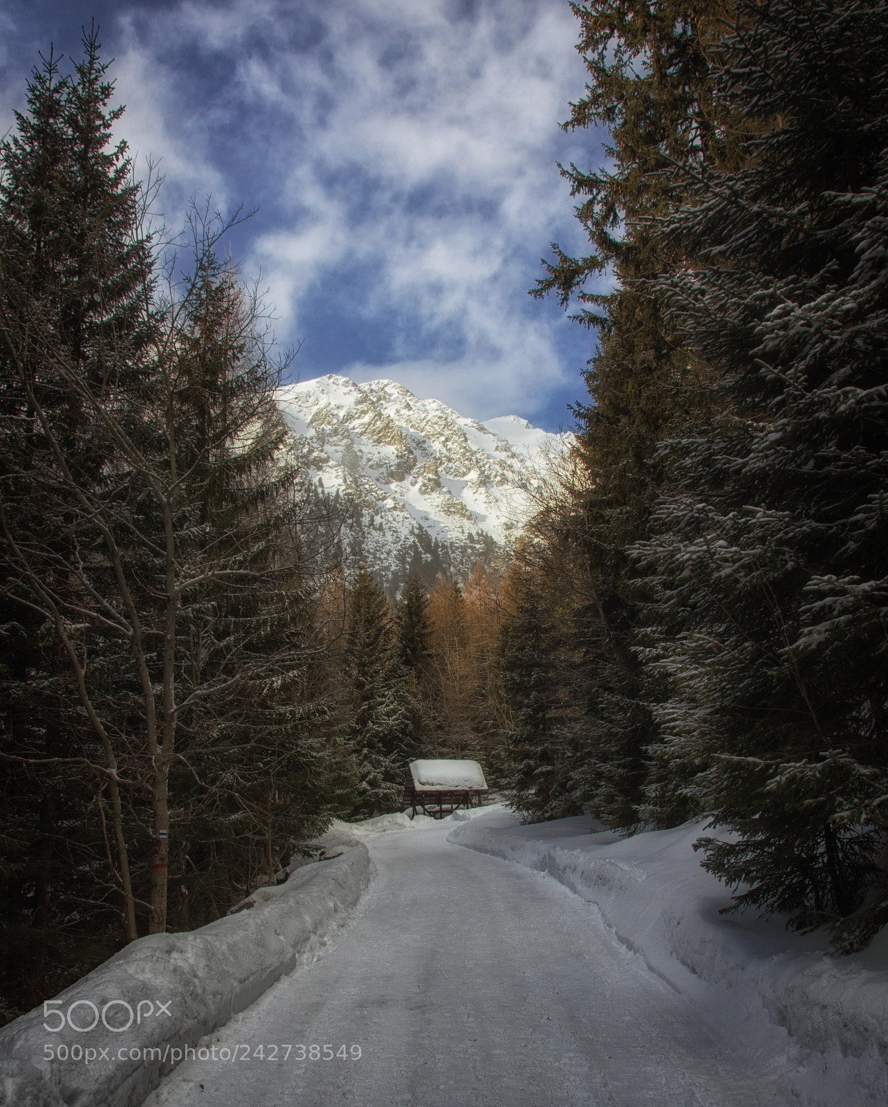 Canon EOS 550D (EOS Rebel T2i / EOS Kiss X4) sample photo. Snow hut photography