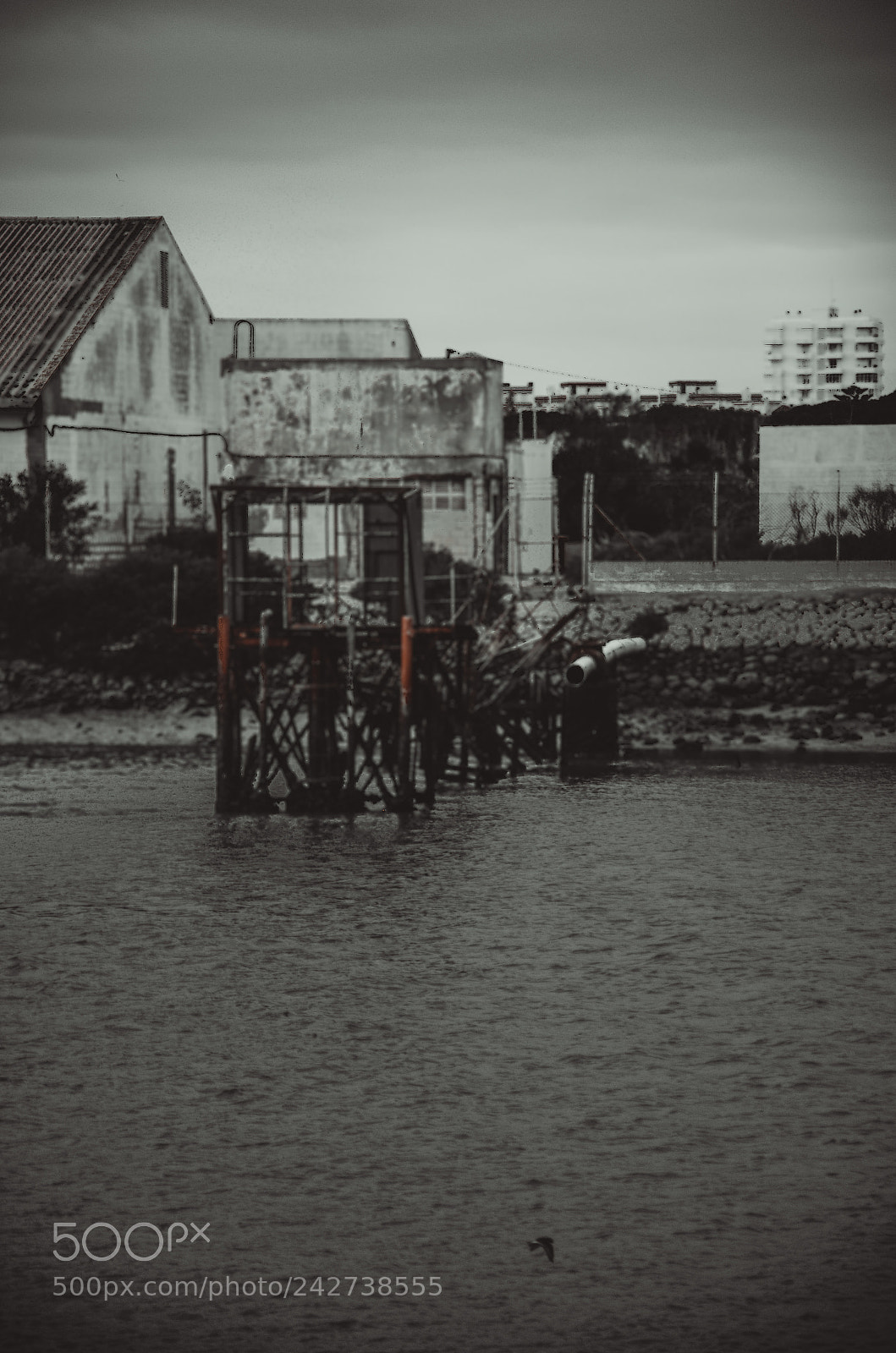 Nikon D5100 sample photo. Txruñxs 2017 photography