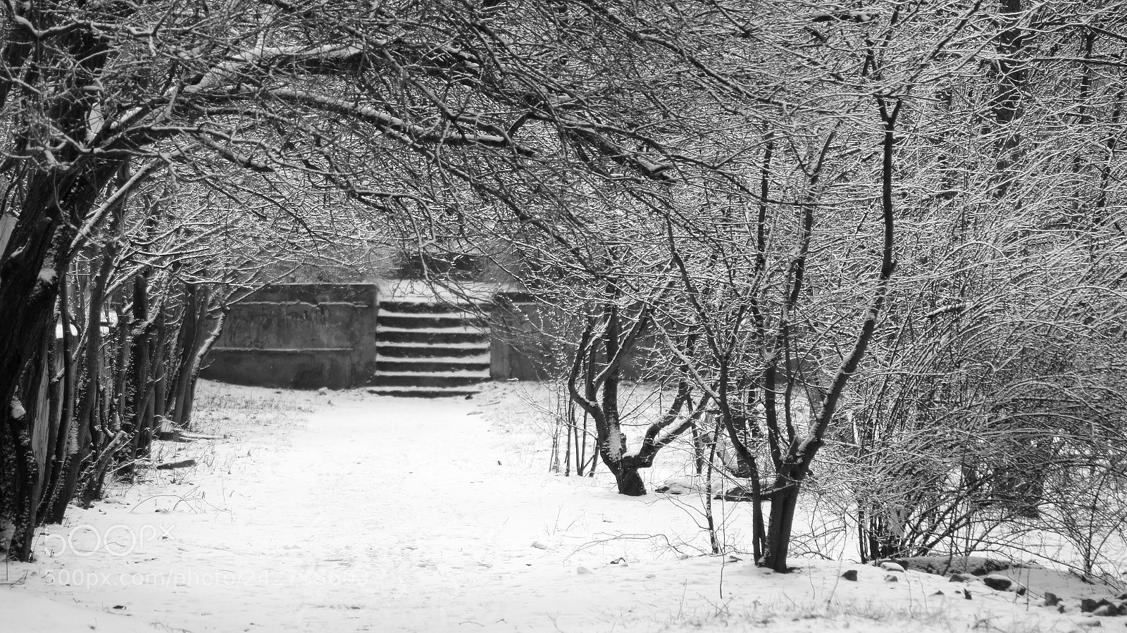 Sony Alpha DSLR-A580 sample photo. Simferopol photography