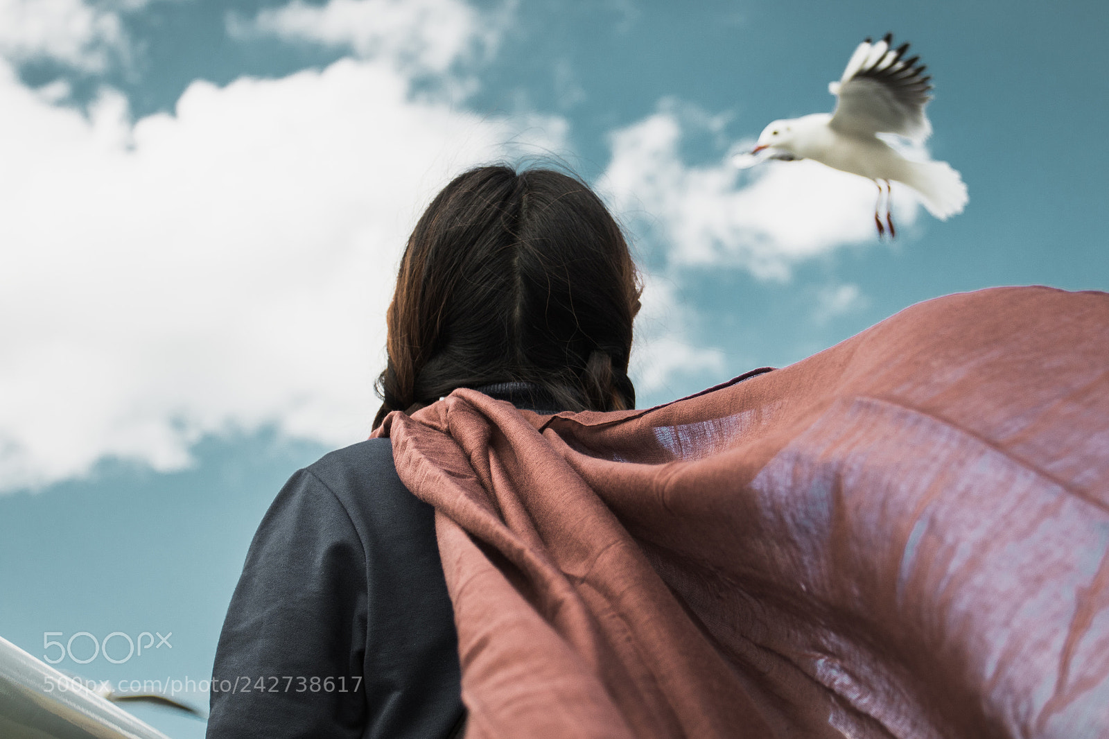 Canon EOS 7D Mark II sample photo. With seagull photography