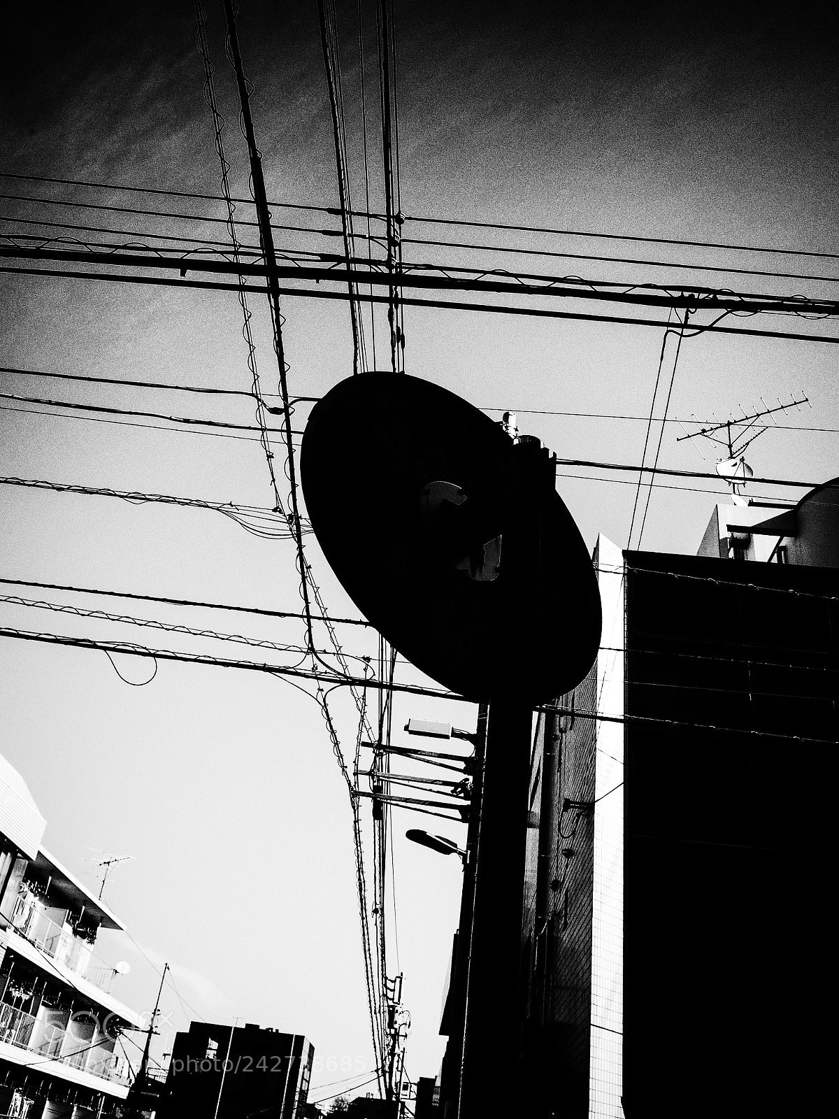 Ricoh GR II sample photo. Untitled photography