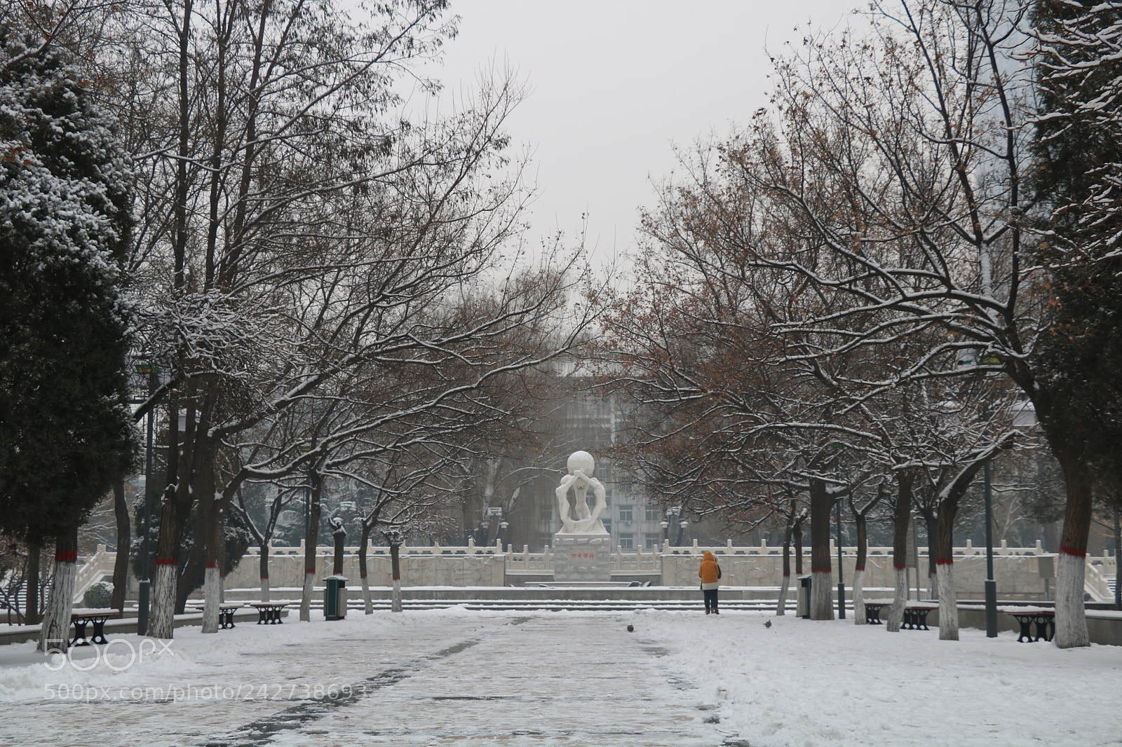 Canon EOS 750D (EOS Rebel T6i / EOS Kiss X8i) sample photo. Untitled photography