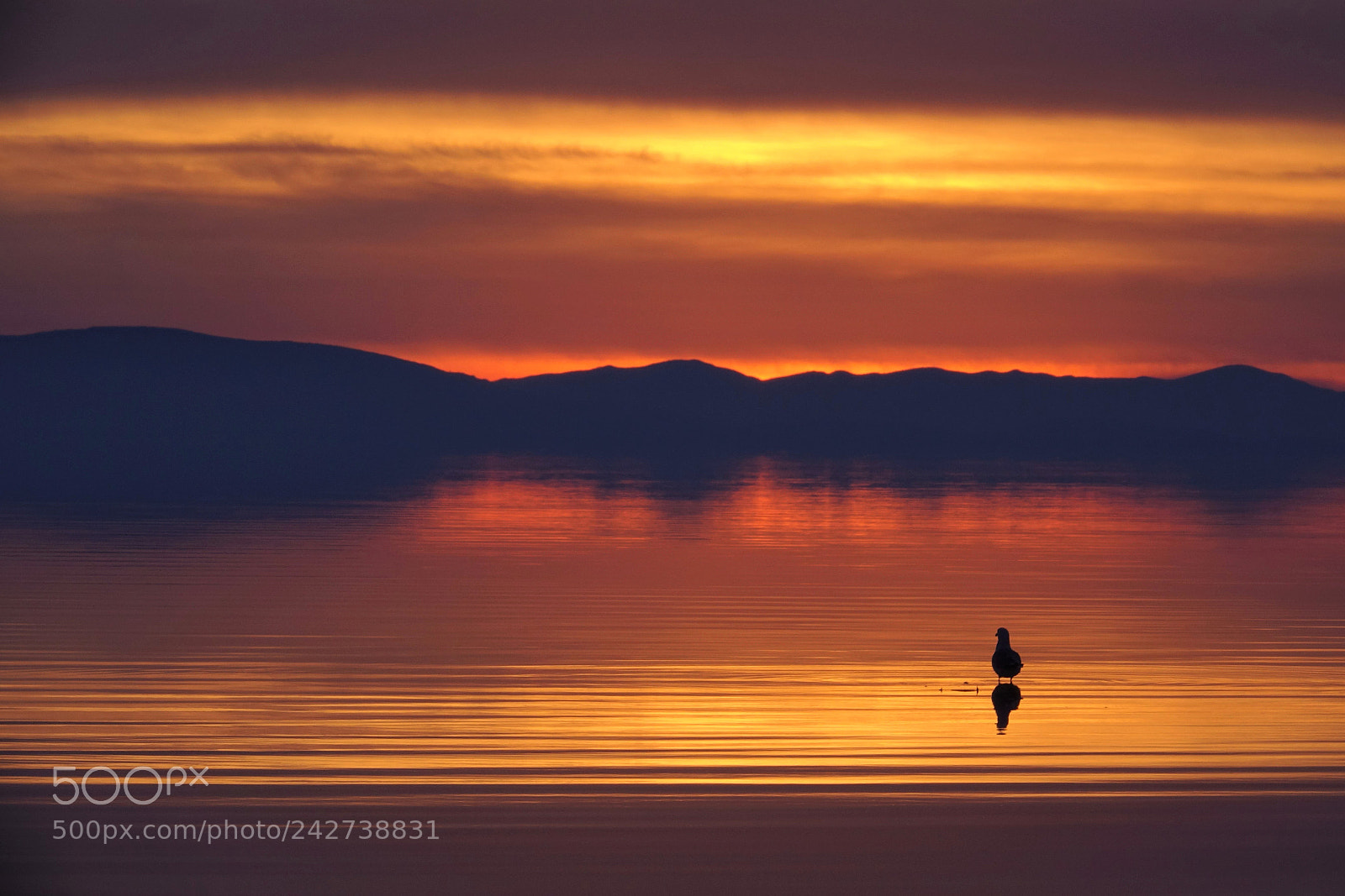 Sony Cyber-shot DSC-RX10 III sample photo. Antelope island sunset, utah photography