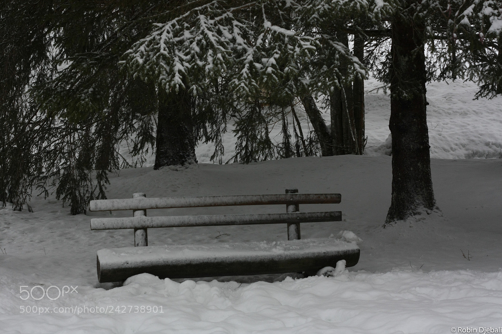 Canon EOS 450D (EOS Rebel XSi / EOS Kiss X2) sample photo. Abandoned bench rd photography