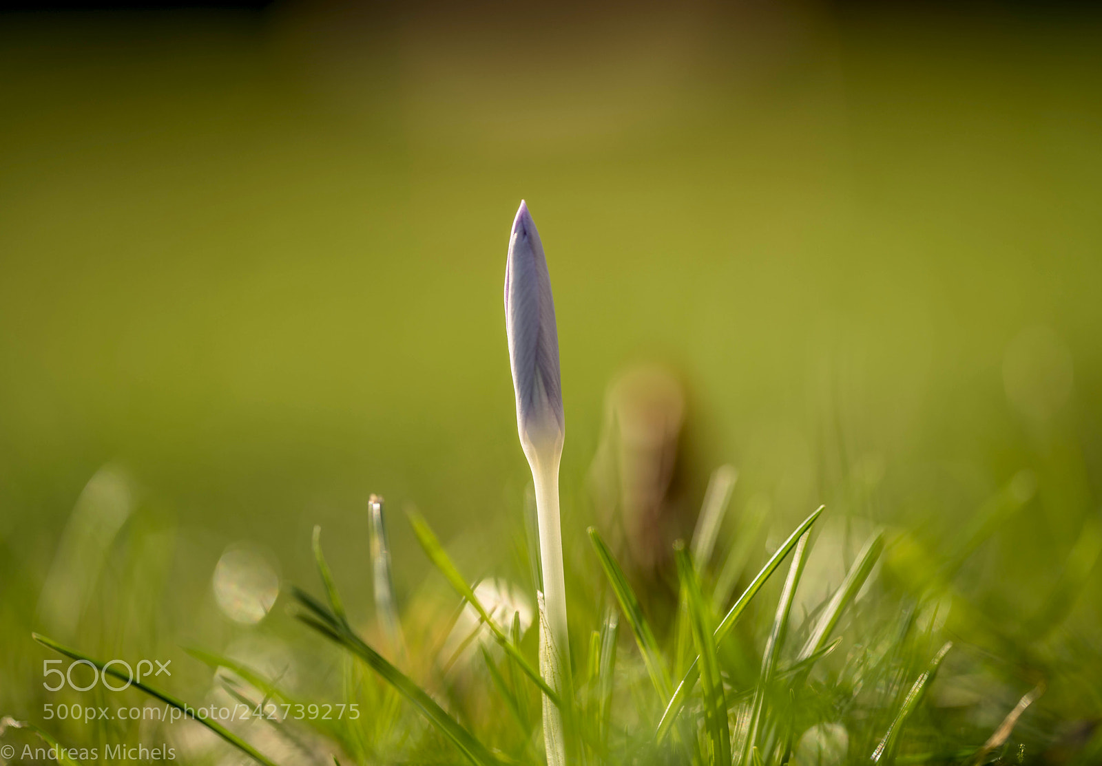 Nikon D850 sample photo. . photography