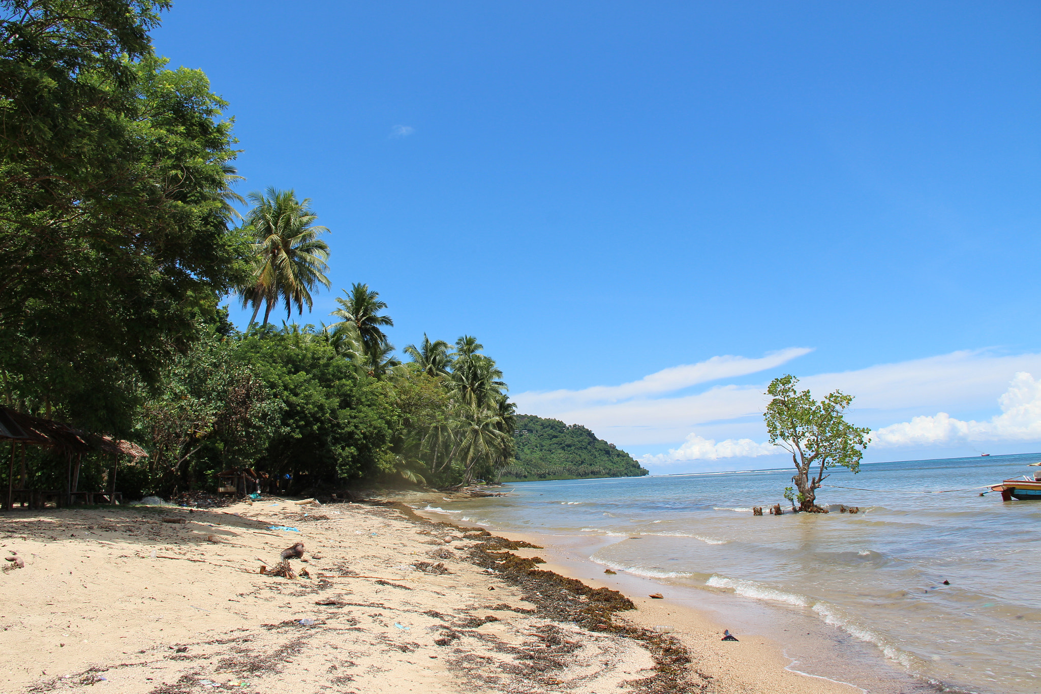 Canon EOS 650D (EOS Rebel T4i / EOS Kiss X6i) sample photo. Tree and beach photography