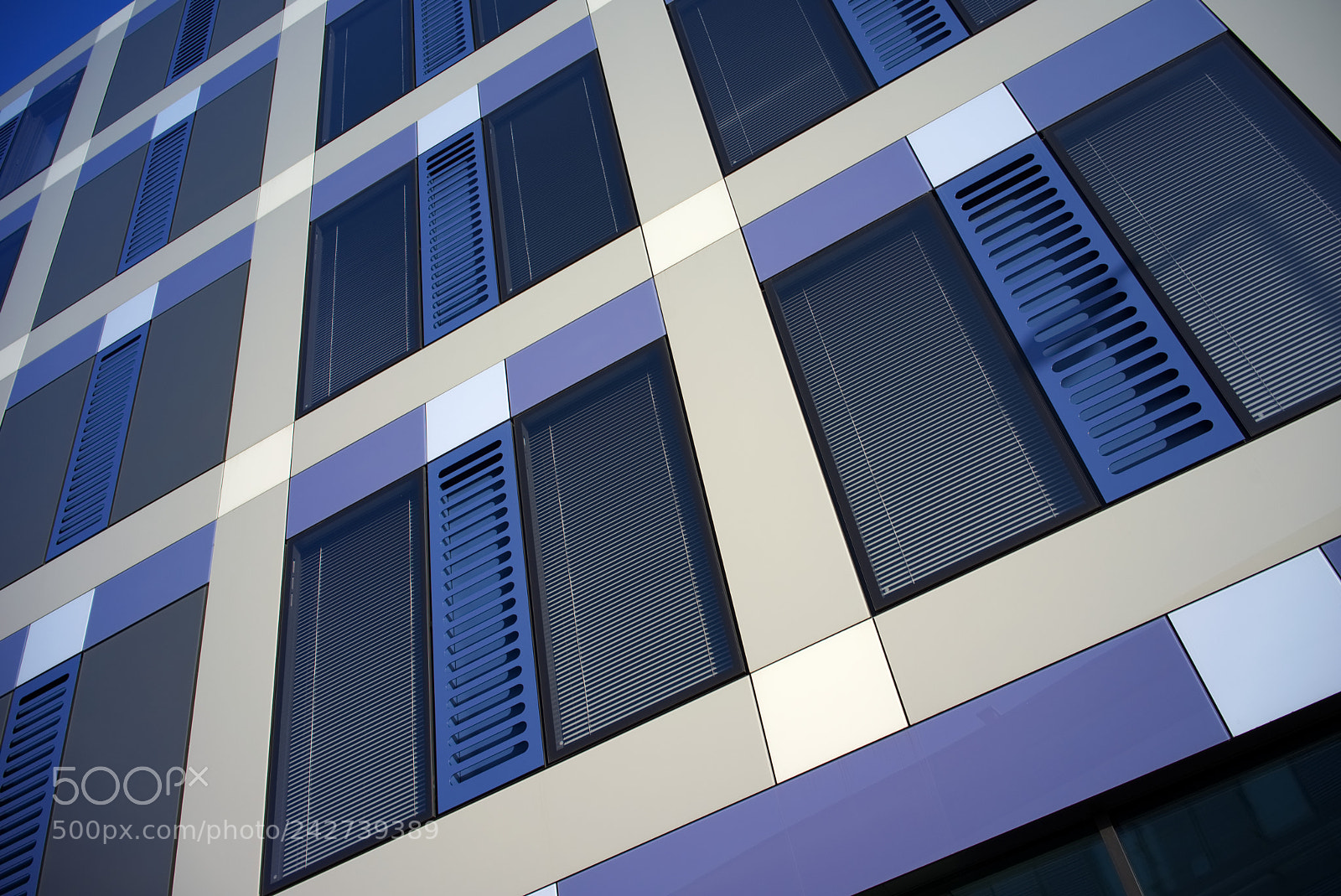 Sony a7 II sample photo. Sidewall pattern photography