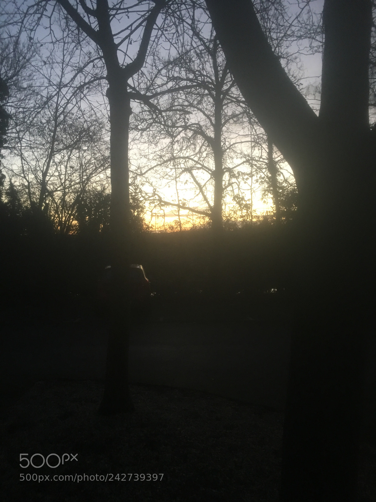 Apple iPhone 6s Plus sample photo. As the day dawns photography