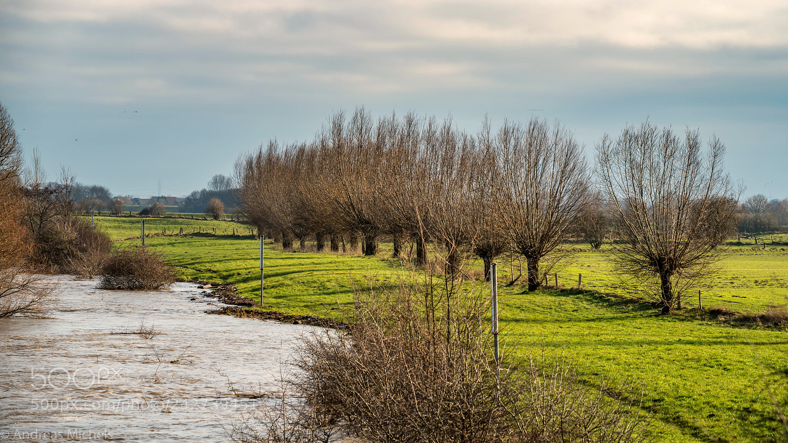 Nikon D850 sample photo. On the rhine. photography