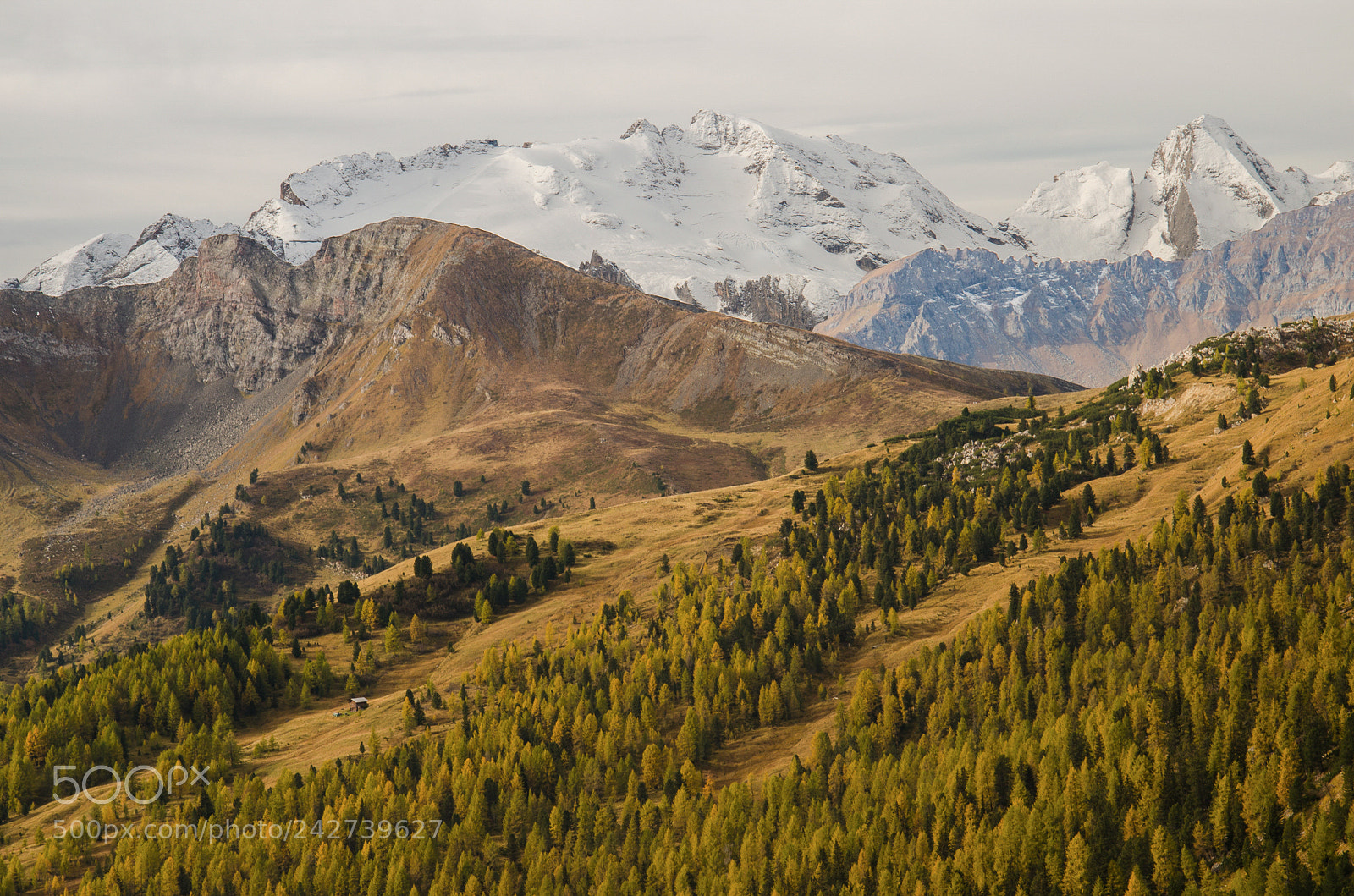 Nikon D5100 sample photo. Marmolada in autumn photography