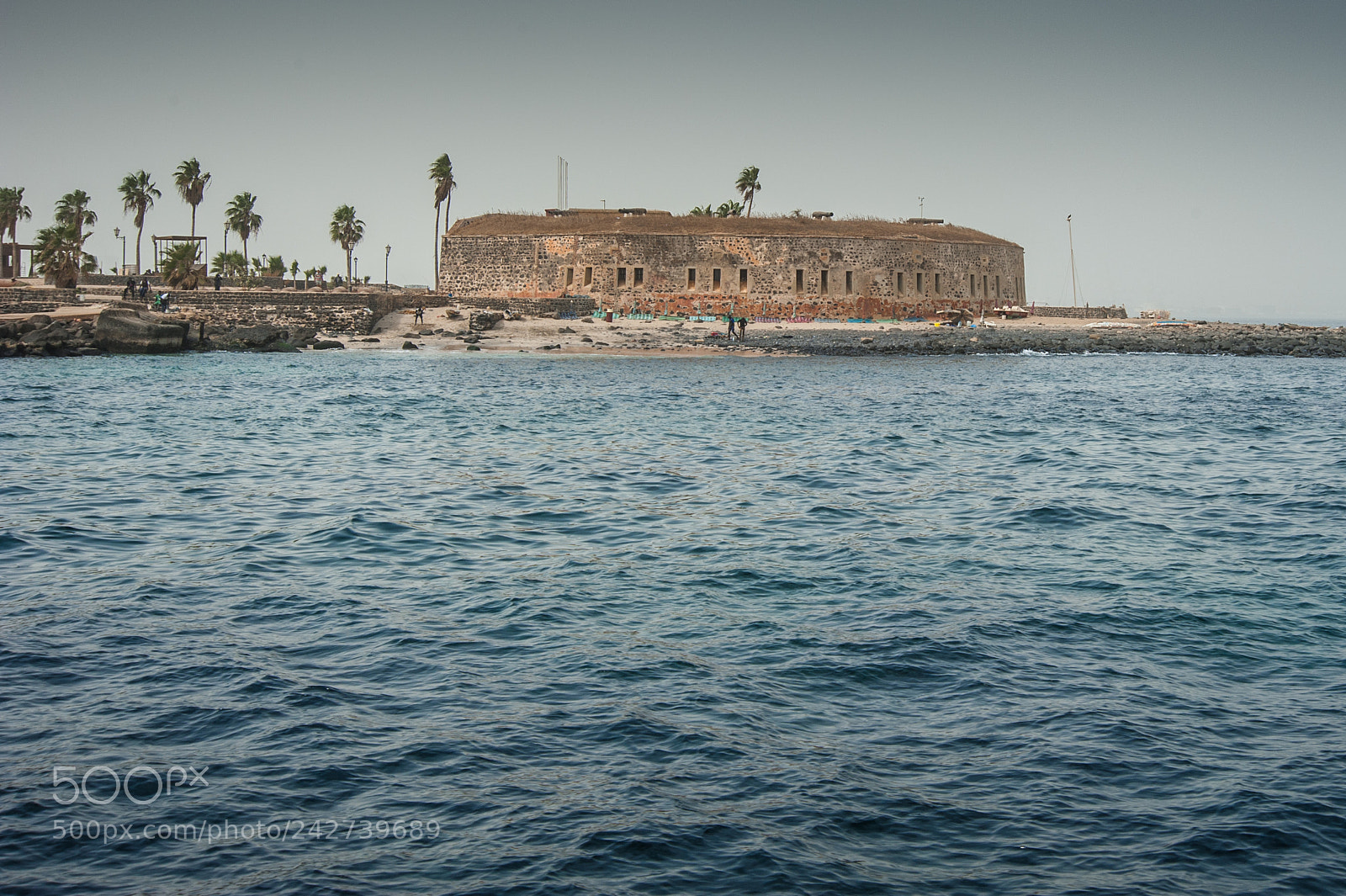 Nikon D700 sample photo. Senegal photography