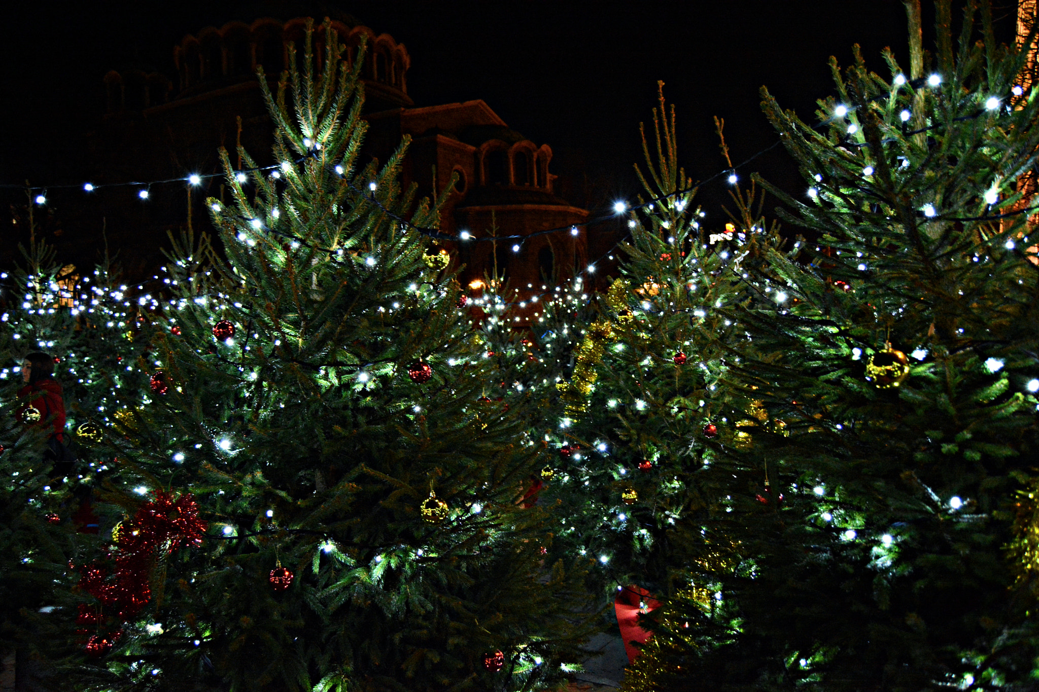 Nikon D7100 sample photo. Christmas tree photography