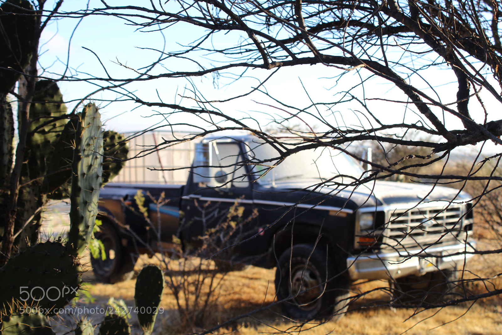 Canon EOS 1300D (EOS Rebel T6 / EOS Kiss X80) sample photo. An old chevrolet out photography