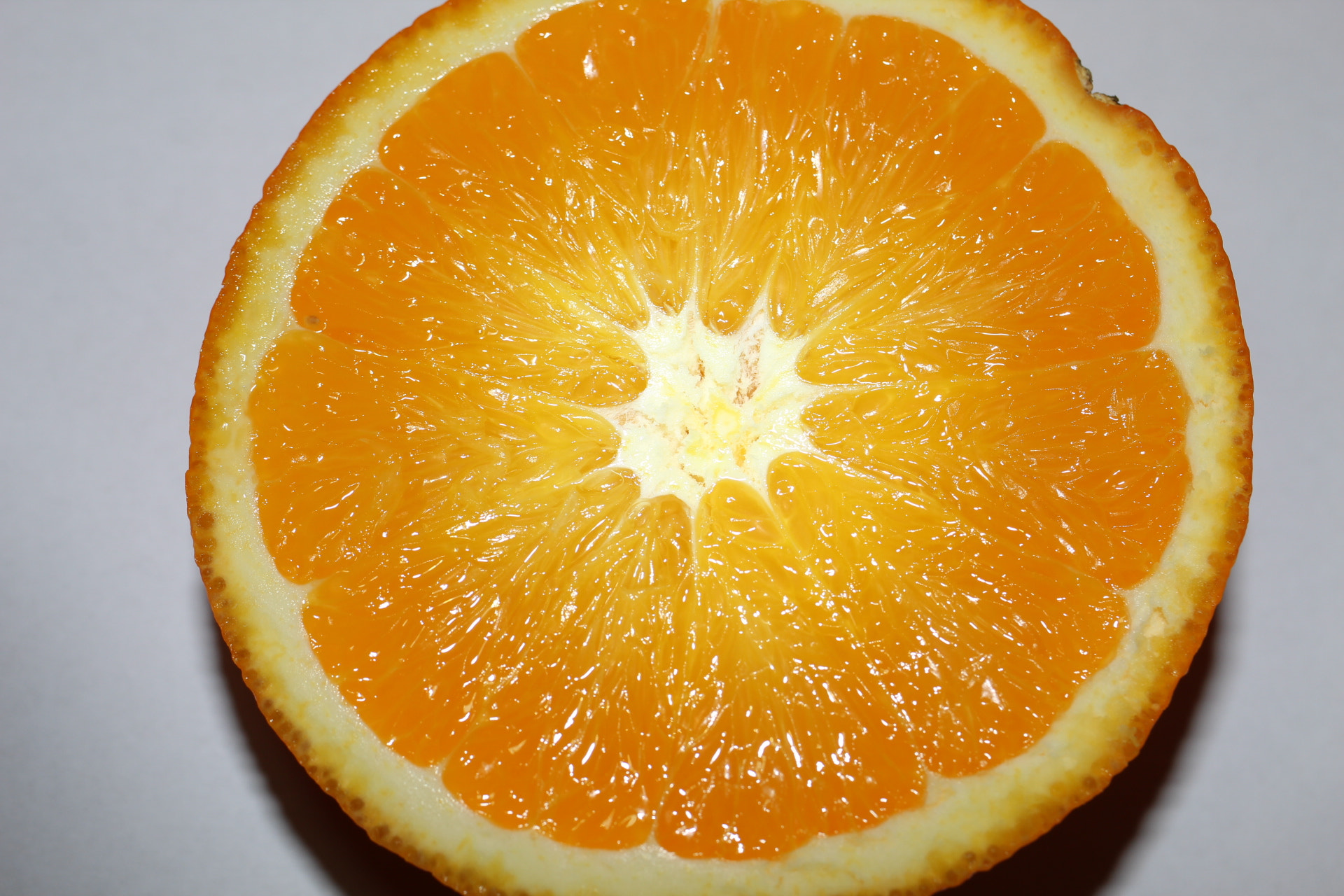 Canon EF-S 35mm F2.8 Macro IS STM sample photo. Orange photography
