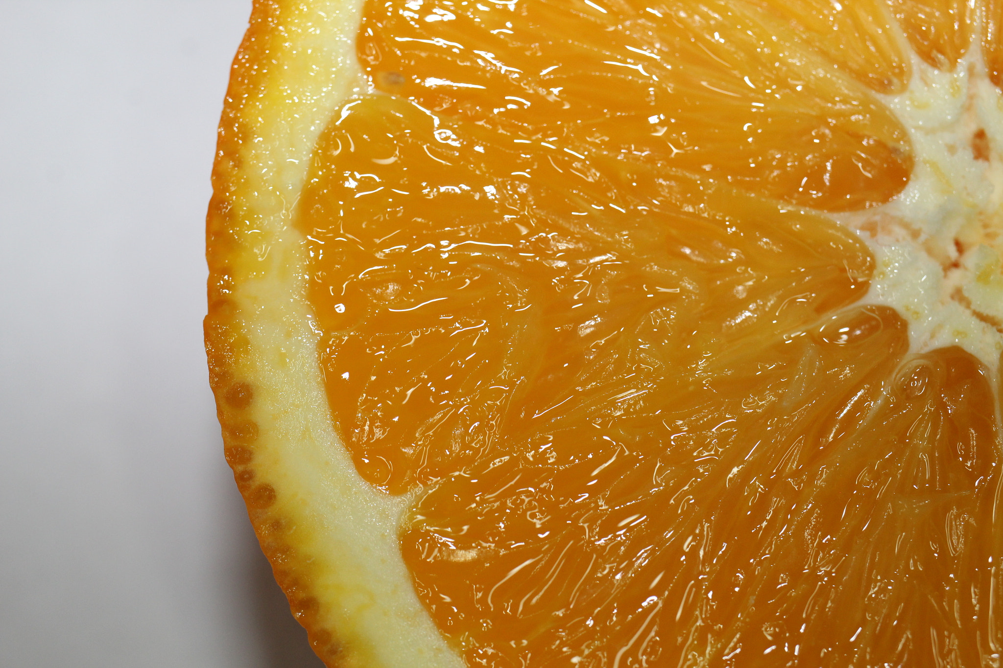 Canon EF-S 35mm F2.8 Macro IS STM sample photo. Orange 2.0 photography