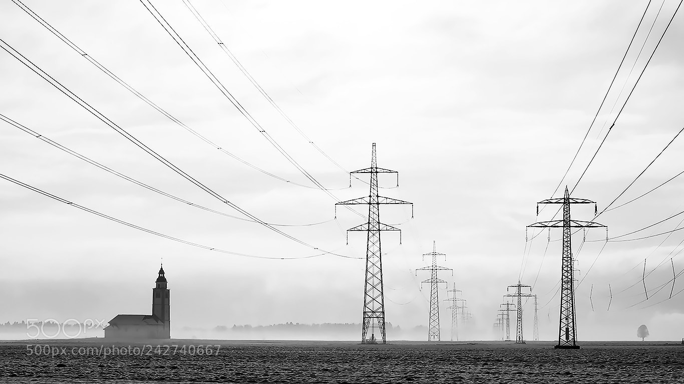 Pentax K20D sample photo. High tension photography