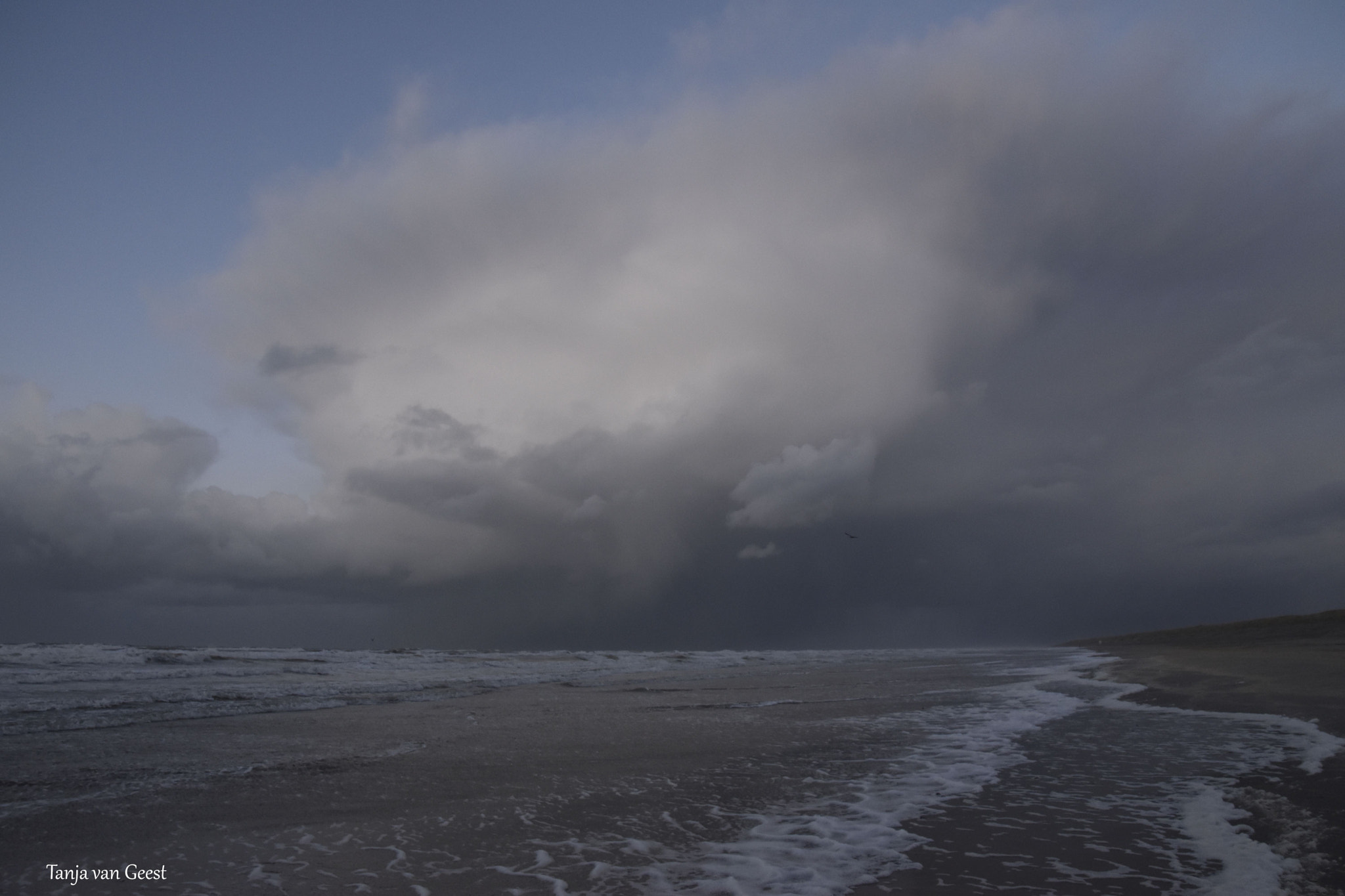 Nikon D5500 sample photo. Rain clouds in the blue hour photography