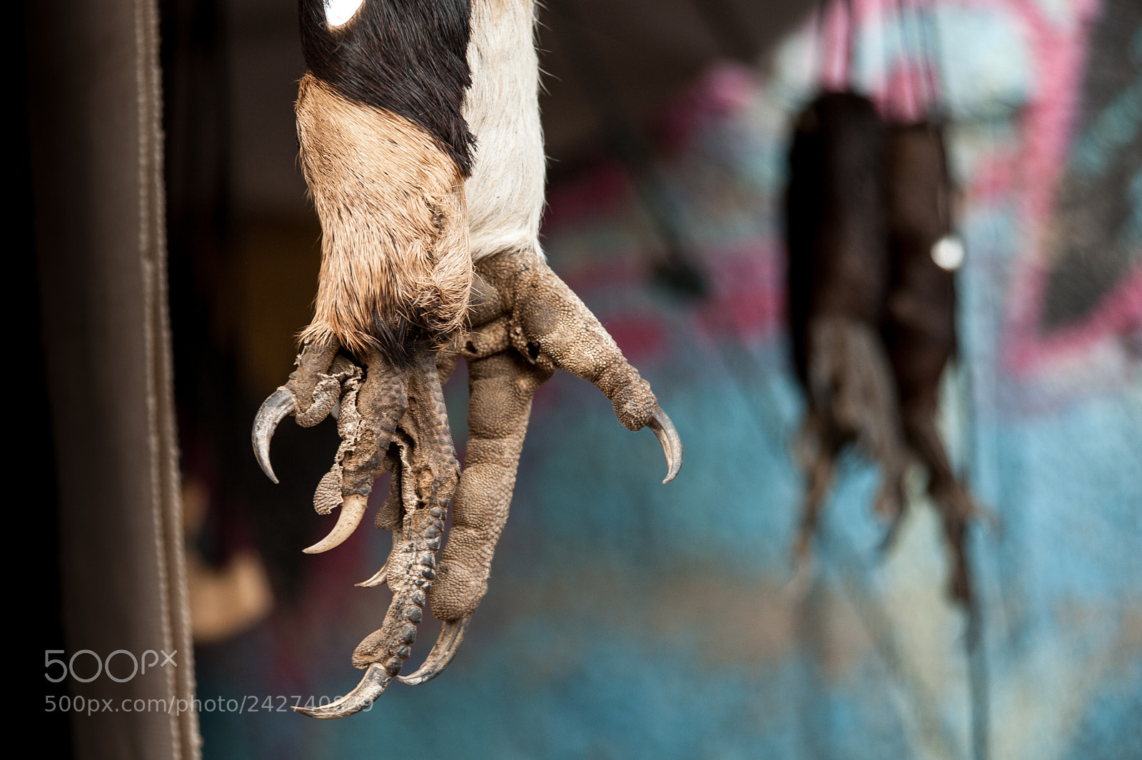 Nikon D700 sample photo. Senegal photography