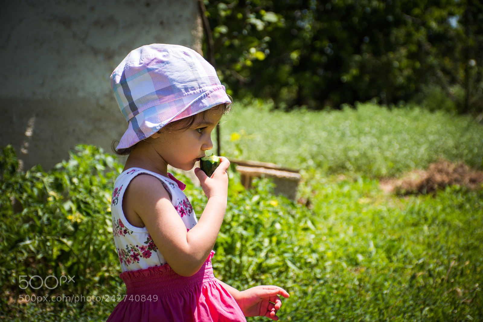 Nikon D7200 sample photo. Beren photography