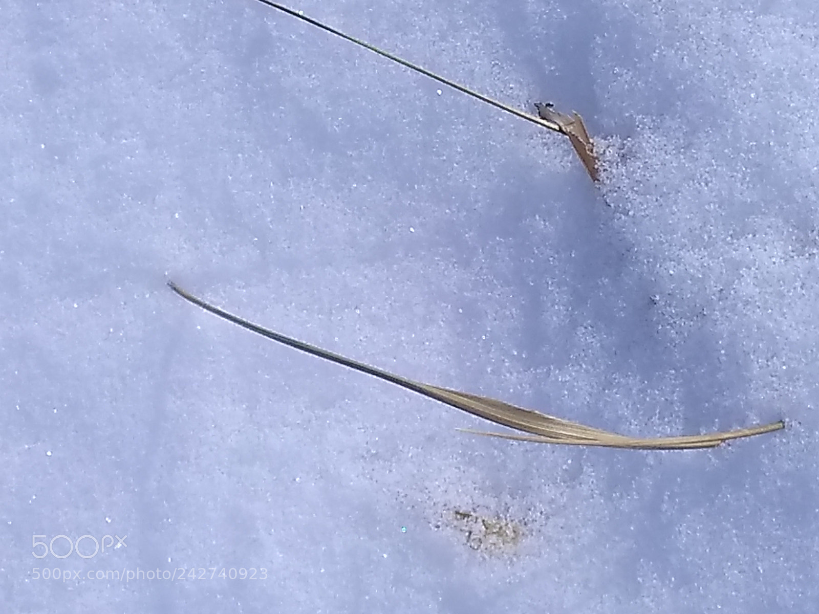 Motorola Moto E (4) Plus sample photo. Grass and snow photography