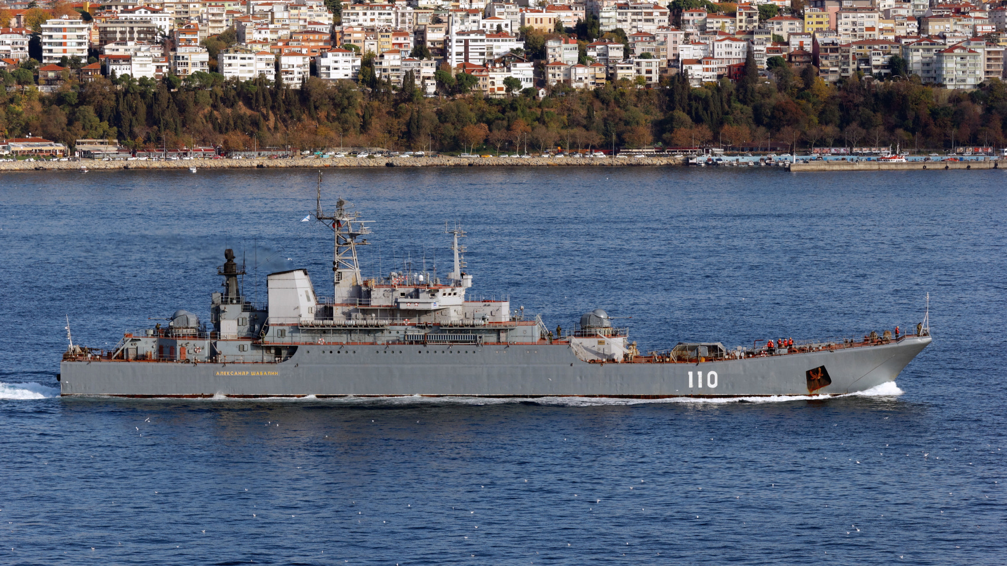 Canon EOS 550D (EOS Rebel T2i / EOS Kiss X4) + Sigma 50-200mm F4-5.6 DC OS HSM sample photo. Istanbul. large landing ship «aleksandr shabalin» photography