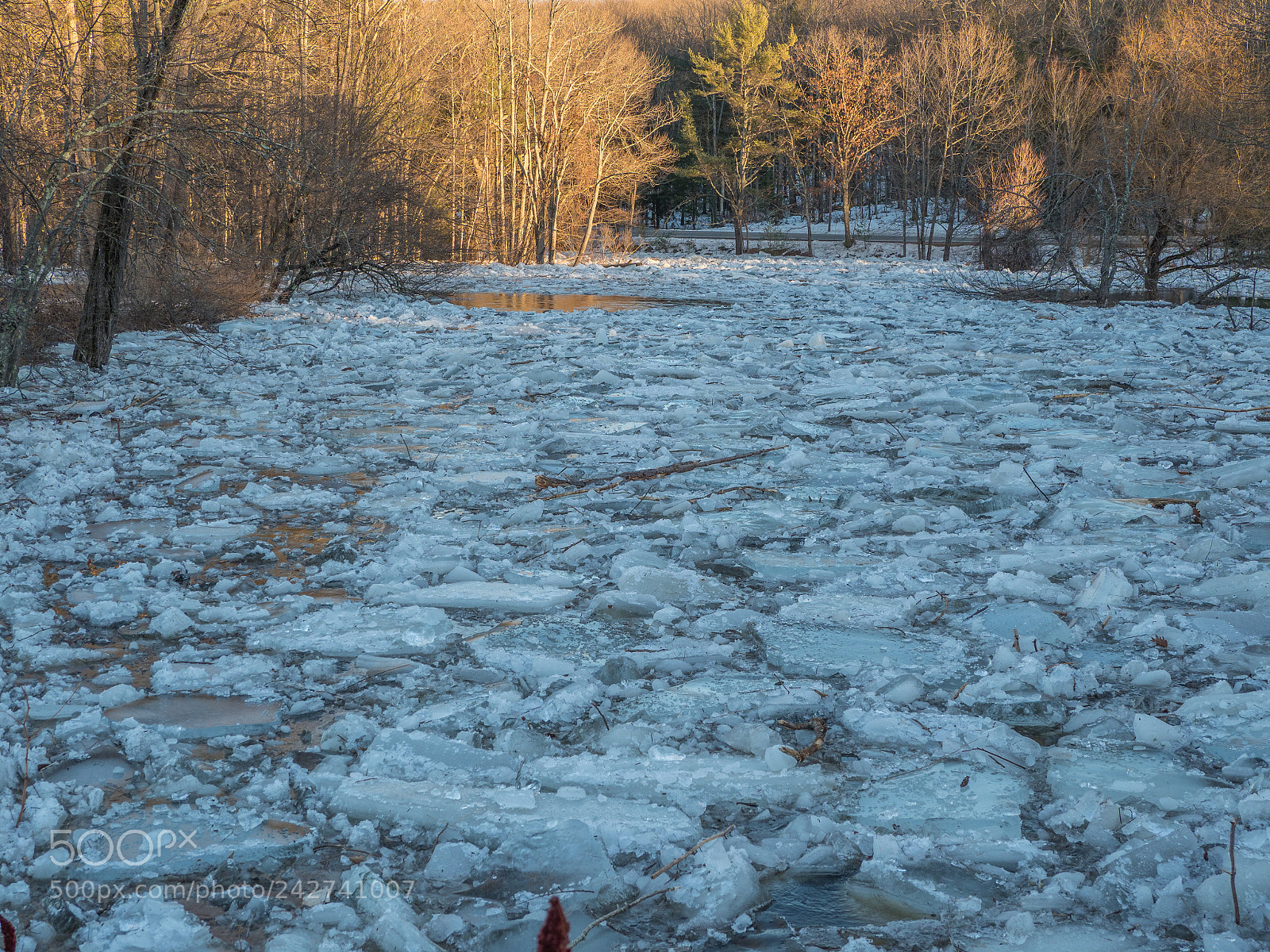 Olympus OM-D E-M1 Mark II sample photo. Ice jam on the photography