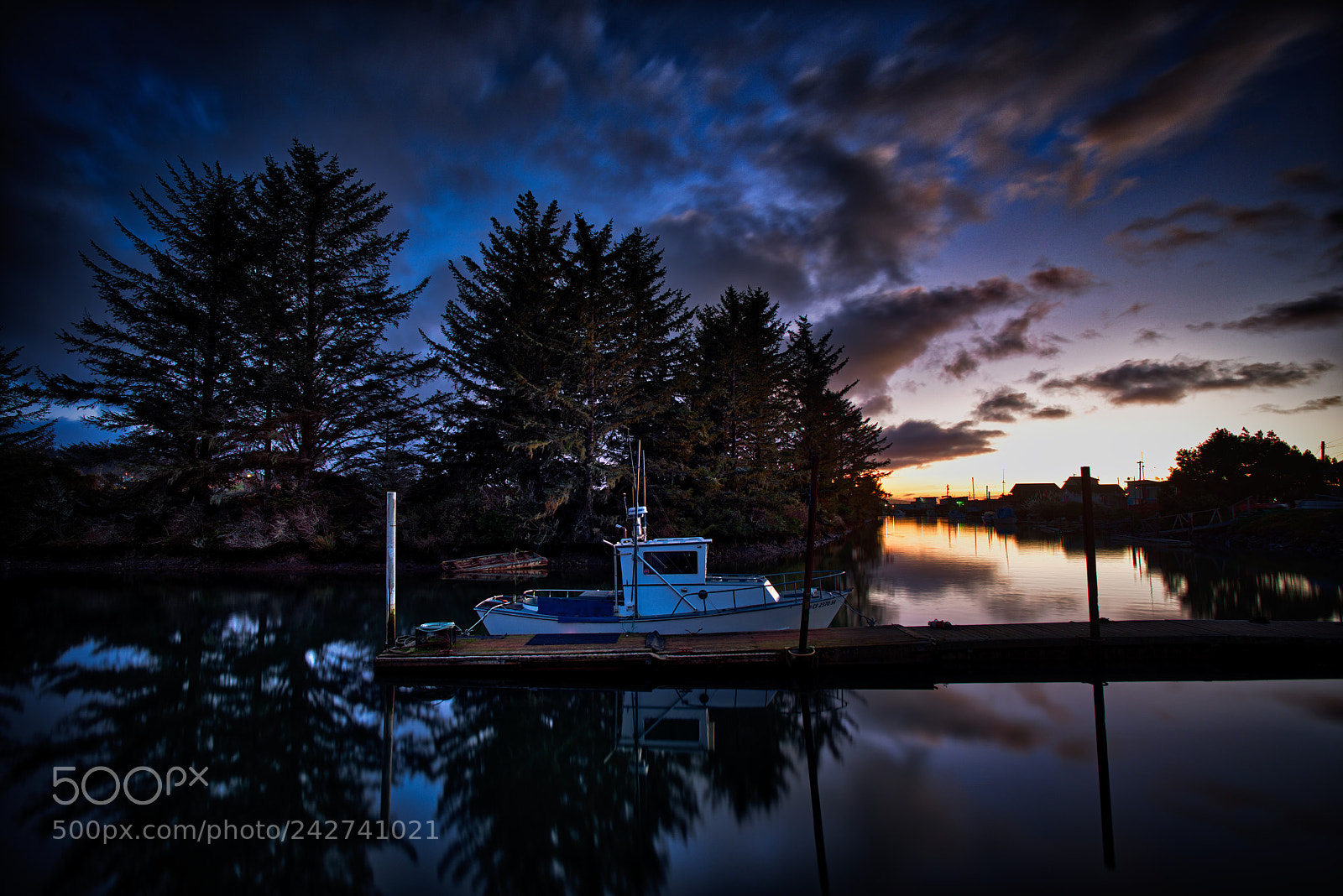 Nikon D800 sample photo. King salmon fisher photography