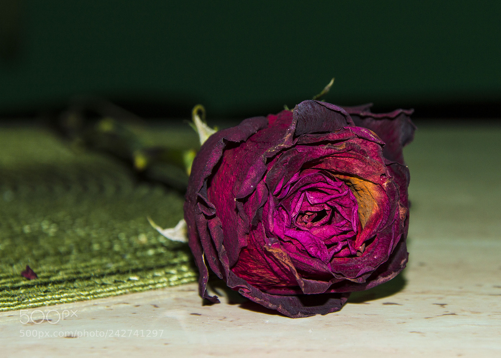 Nikon D3200 sample photo. Dsc photography