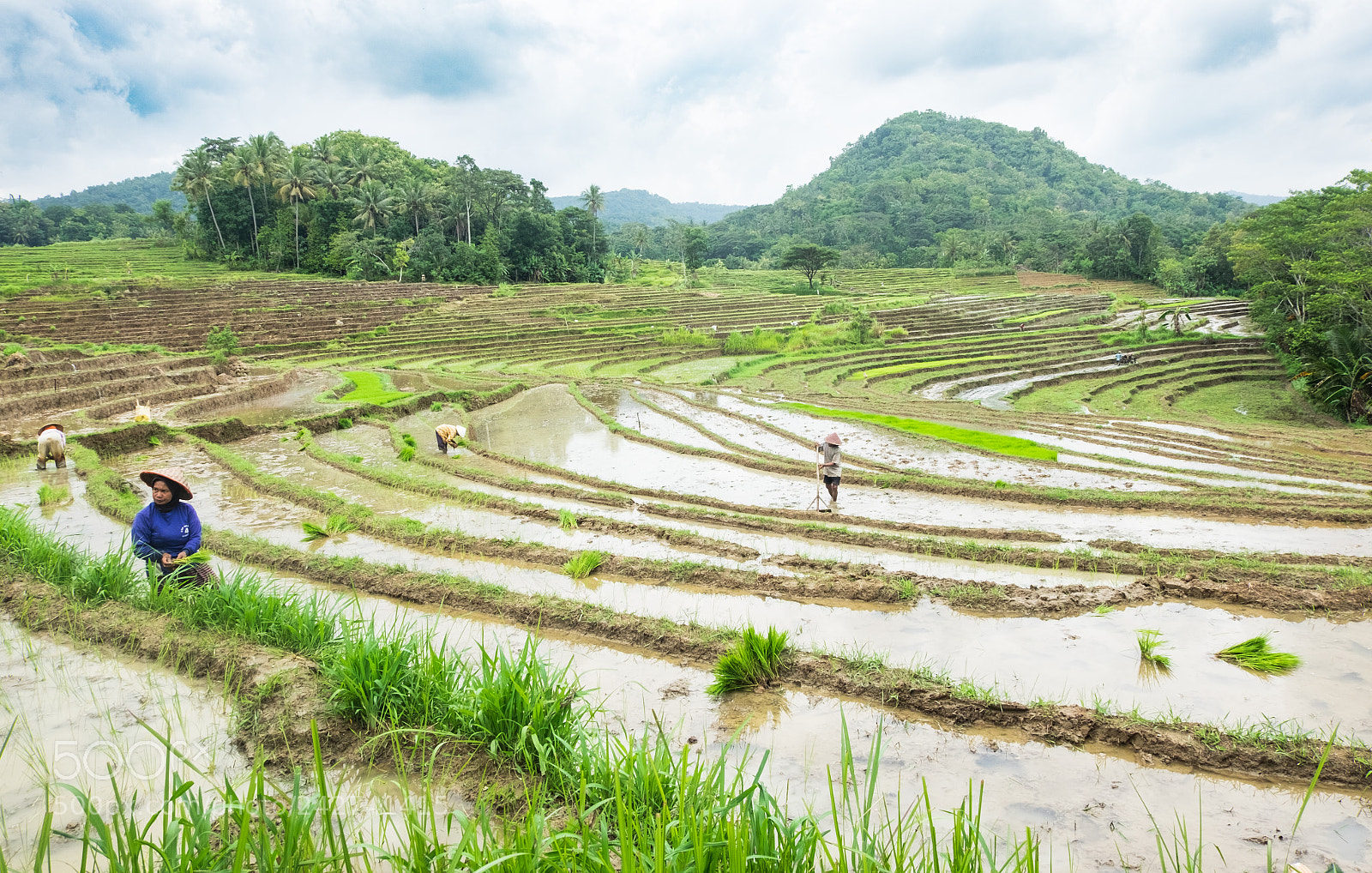 Fujifilm X-T10 sample photo. _dsf4176-2.jpg photography