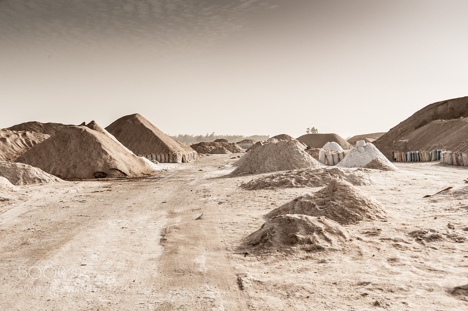 Nikon D700 sample photo. Senegal photography