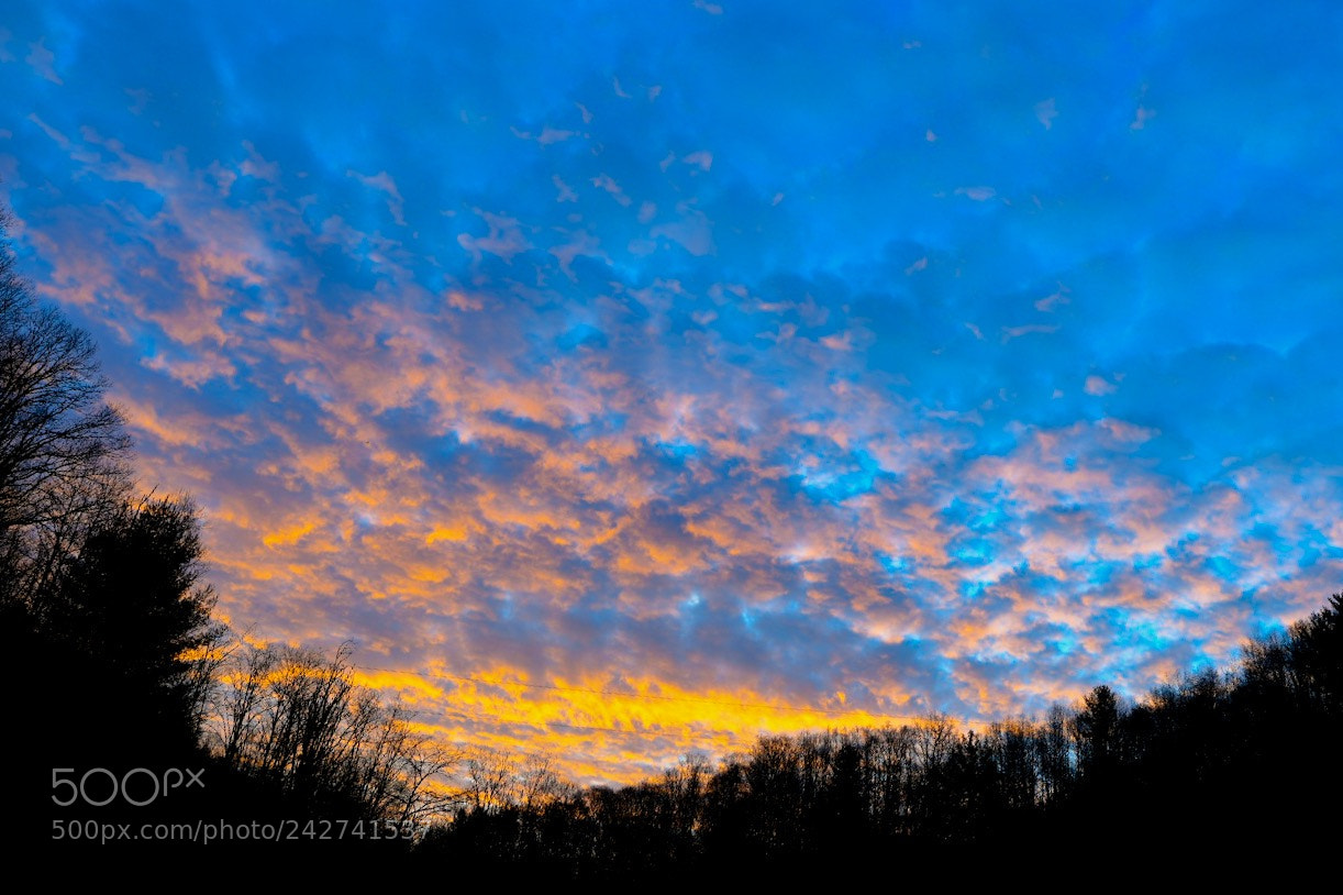 Nikon D850 sample photo. Gorgeous sky this morning. photography