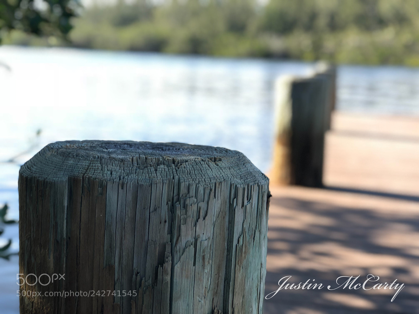 Apple iPhone 8 Plus sample photo. Dock photography