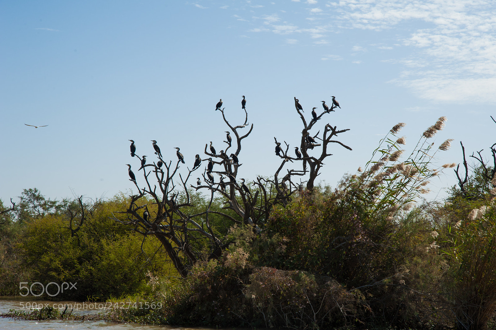 Nikon D700 sample photo. Senegal photography