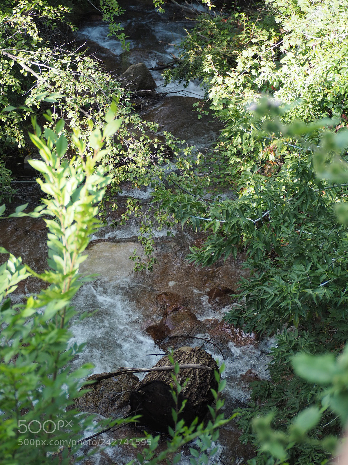 Olympus OM-D E-M10 sample photo. Tucked away photography