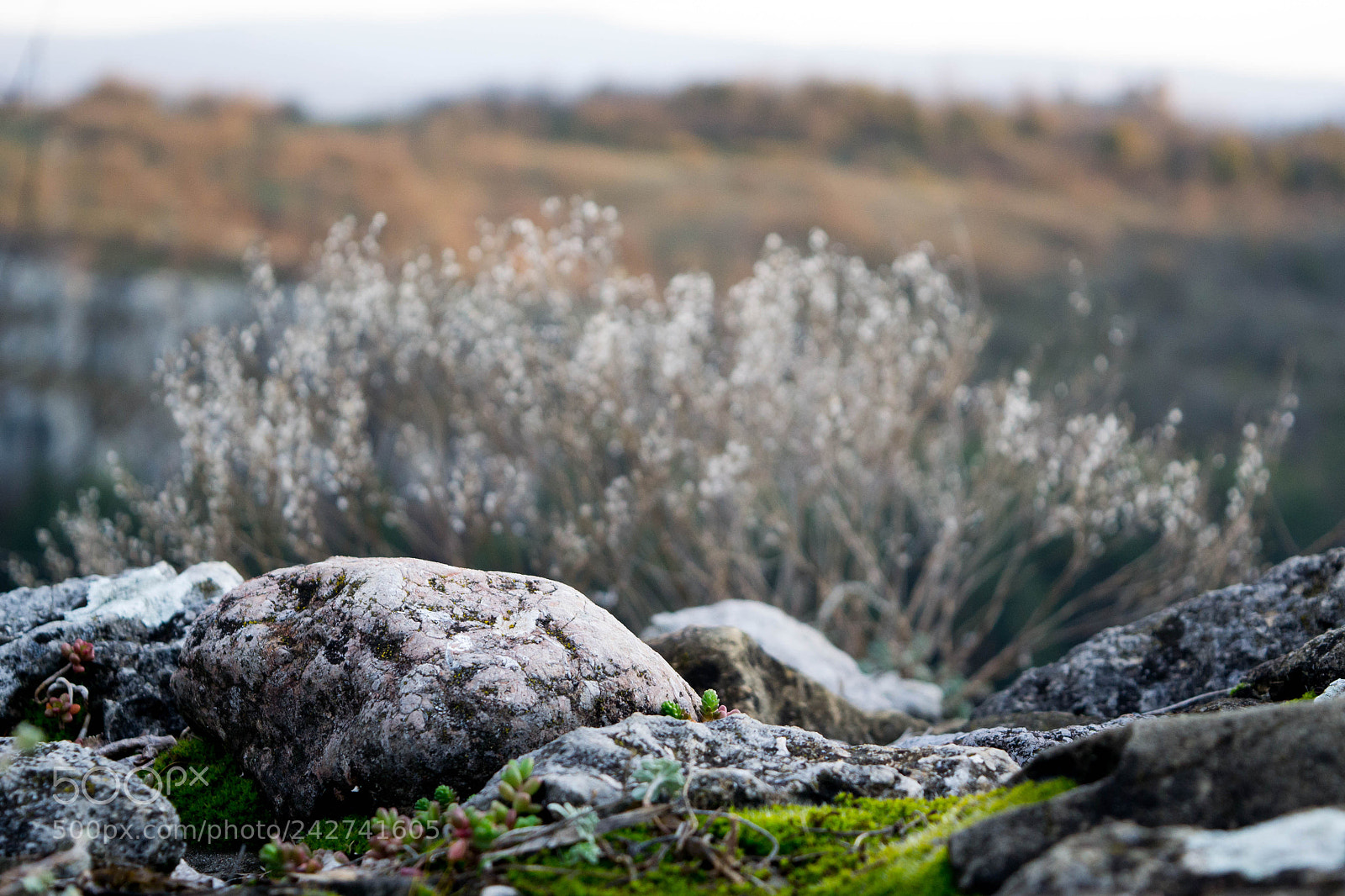 Nikon D3100 sample photo. Rocky mountains photography